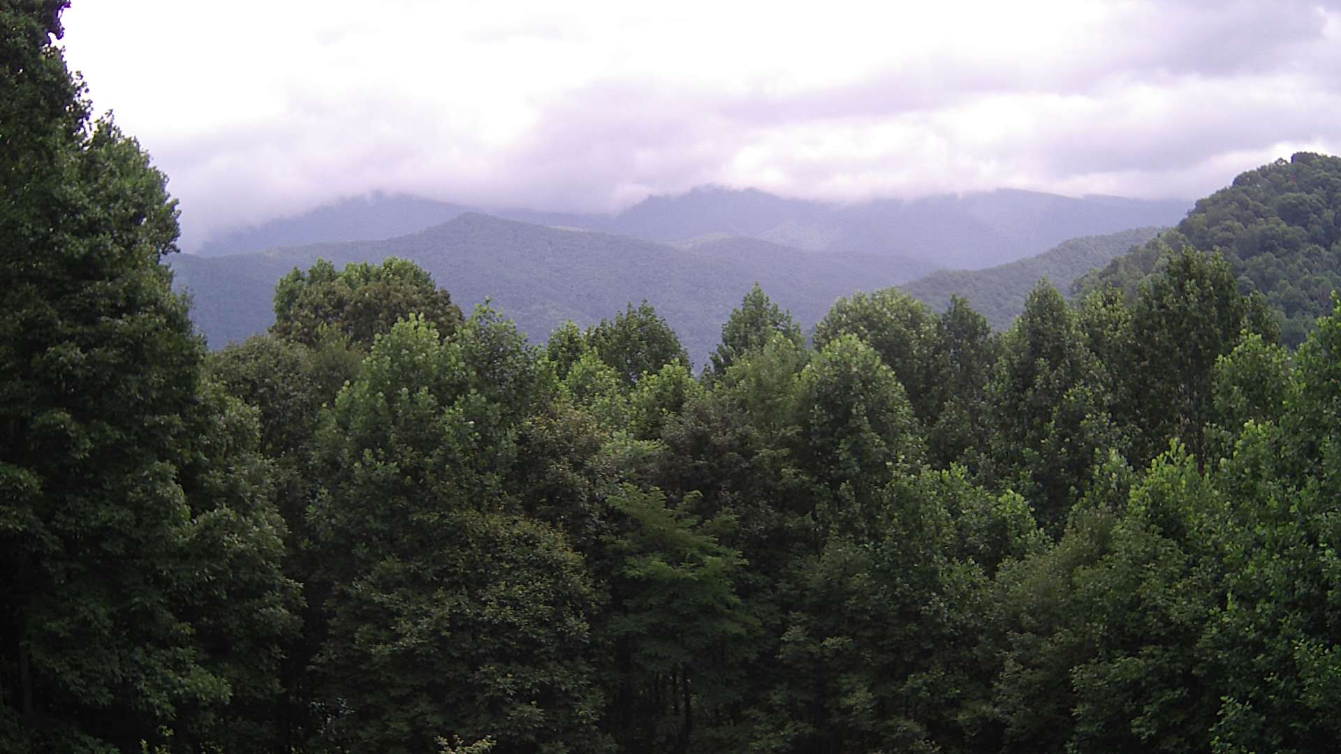 click for next image... slideshow image