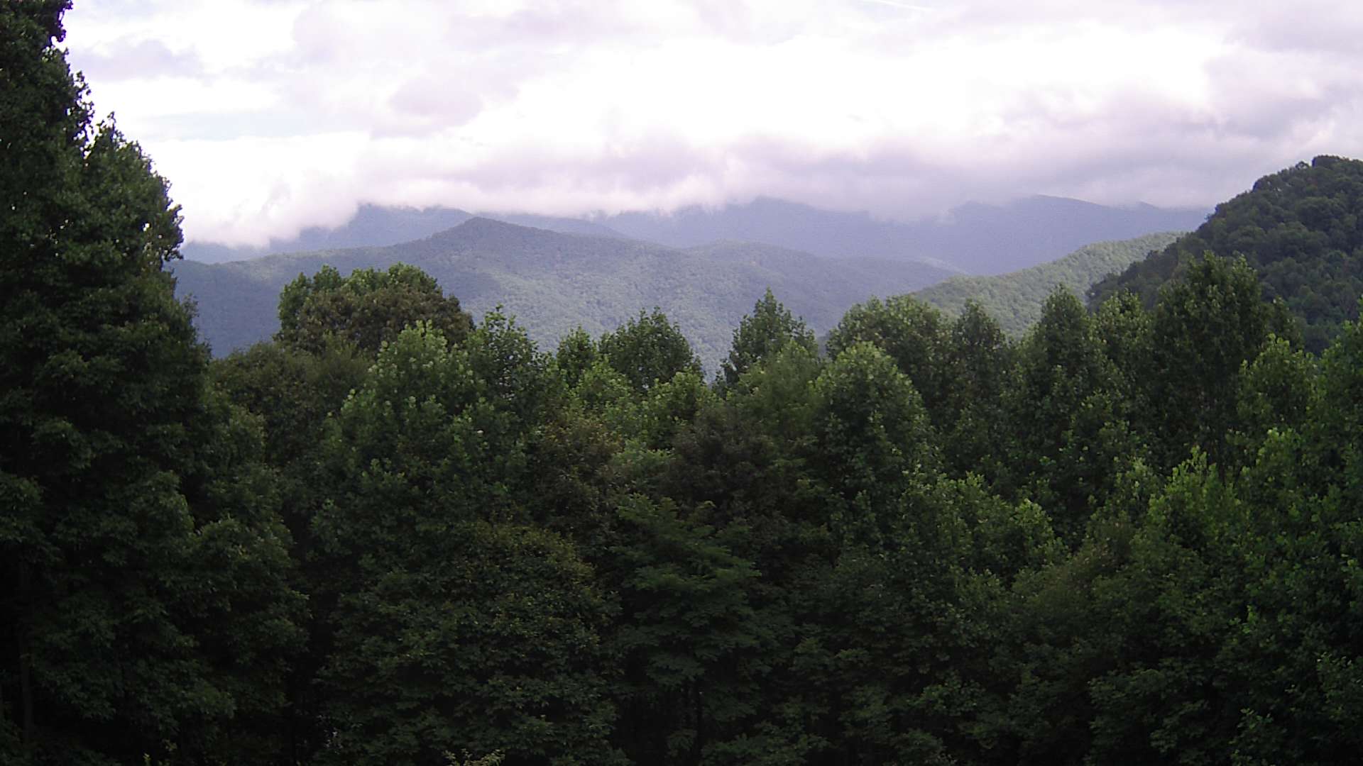 click for next image... slideshow image