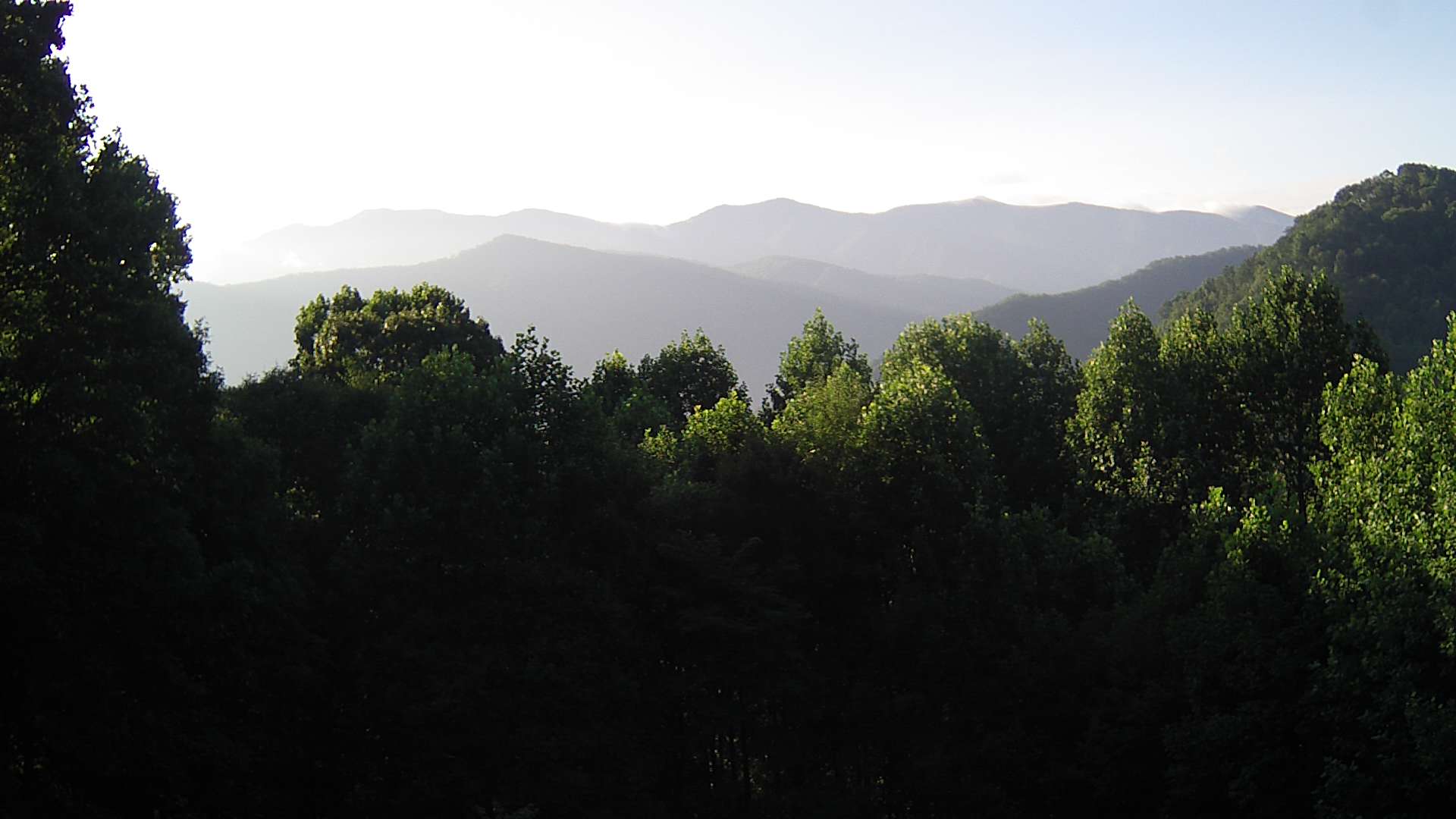 click for next image... slideshow image
