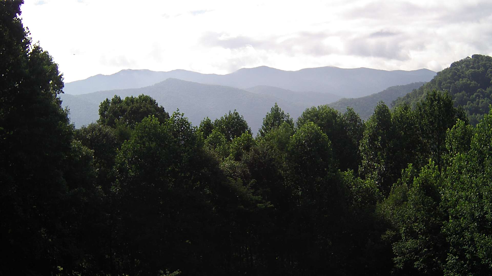 click for next image... slideshow image