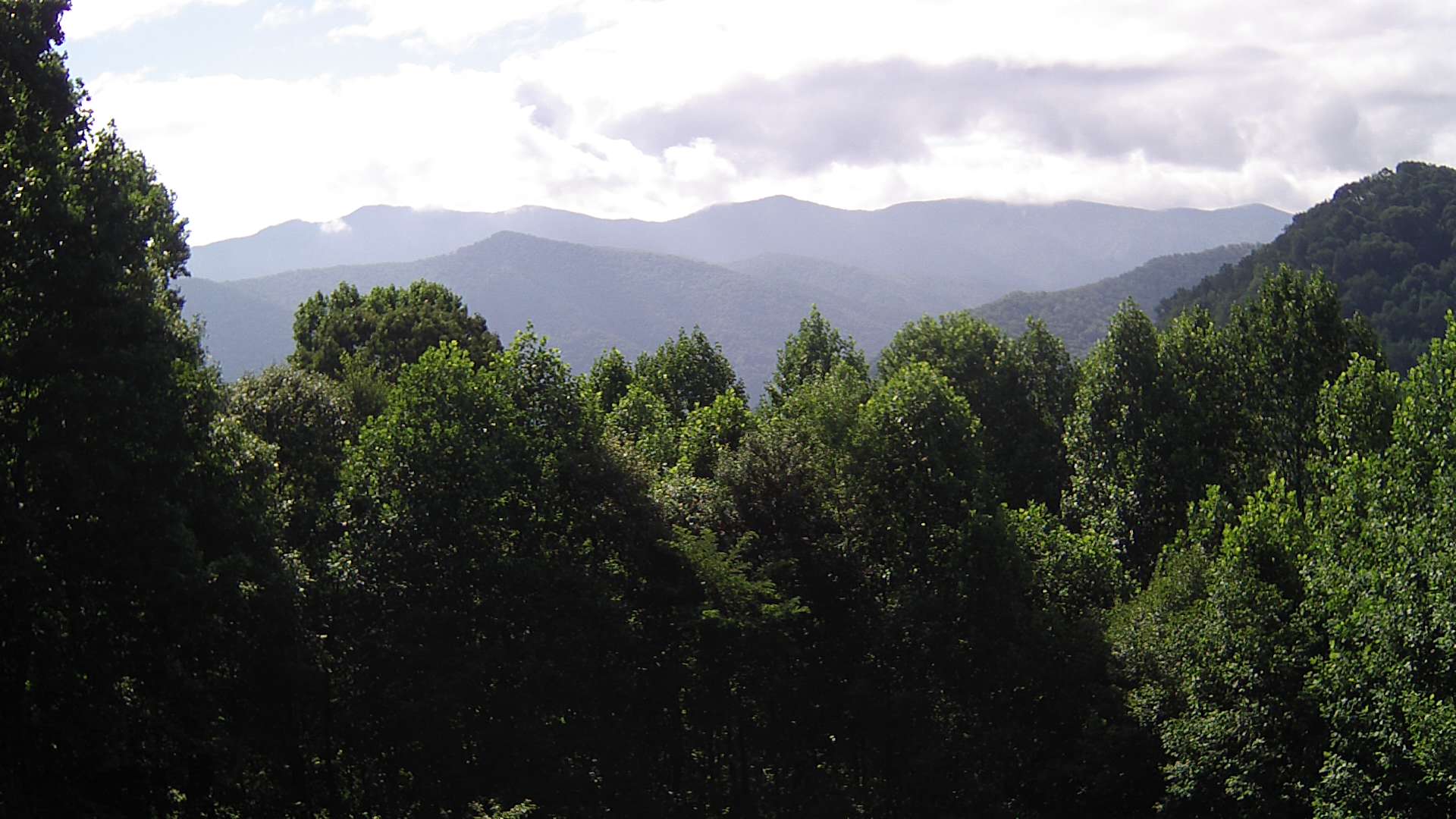 click for next image... slideshow image