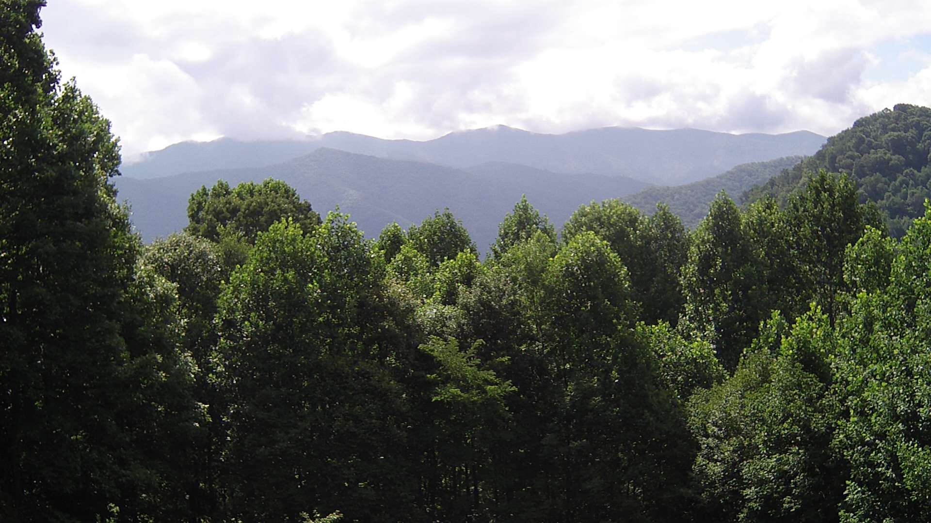 click for next image... slideshow image