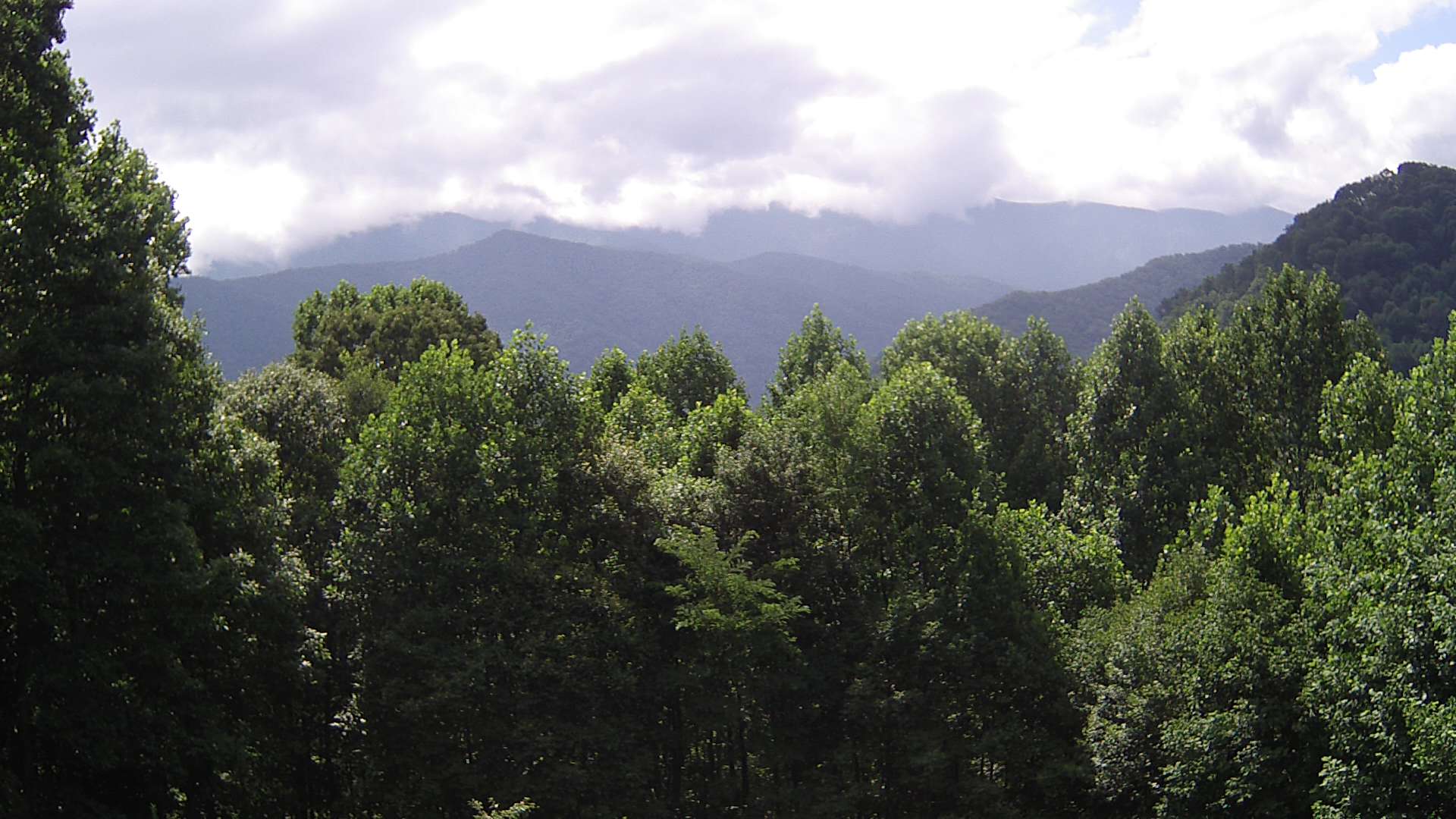 click for next image... slideshow image