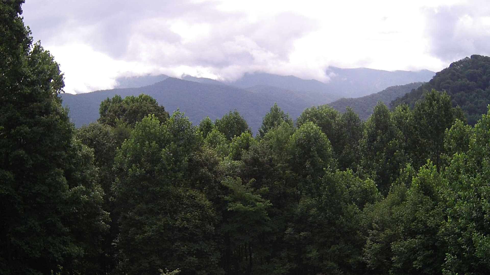 click for next image... slideshow image