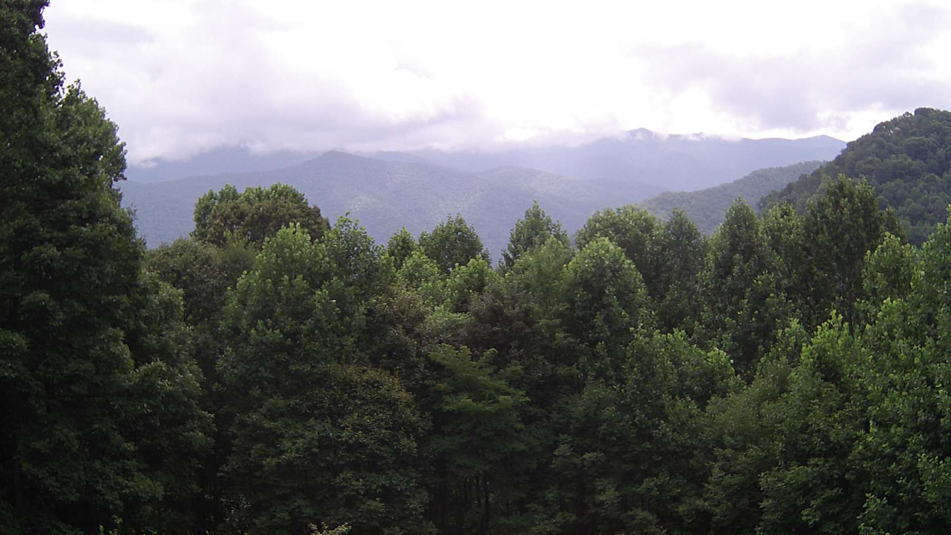 click for next image... slideshow image