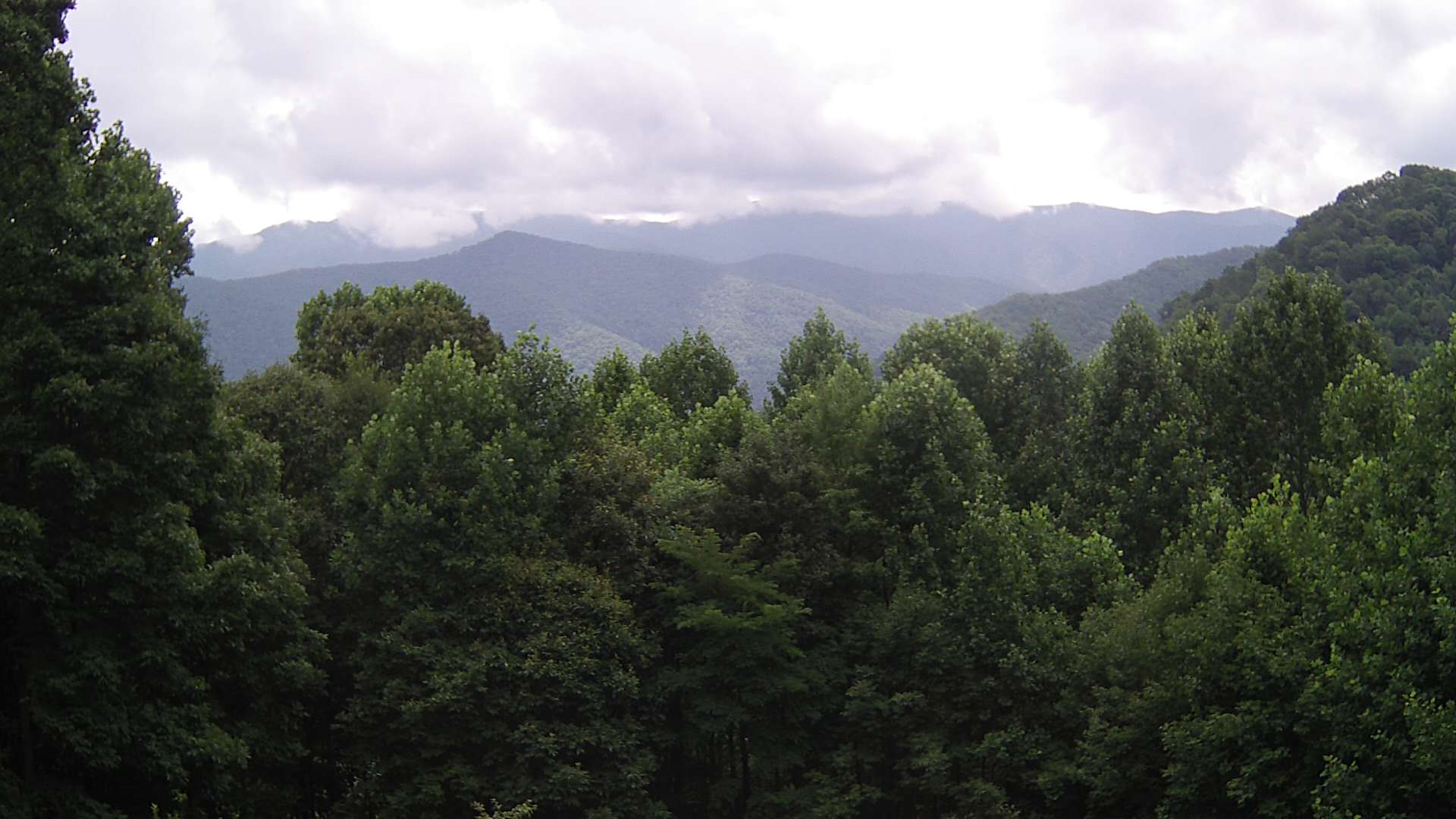 click for next image... slideshow image