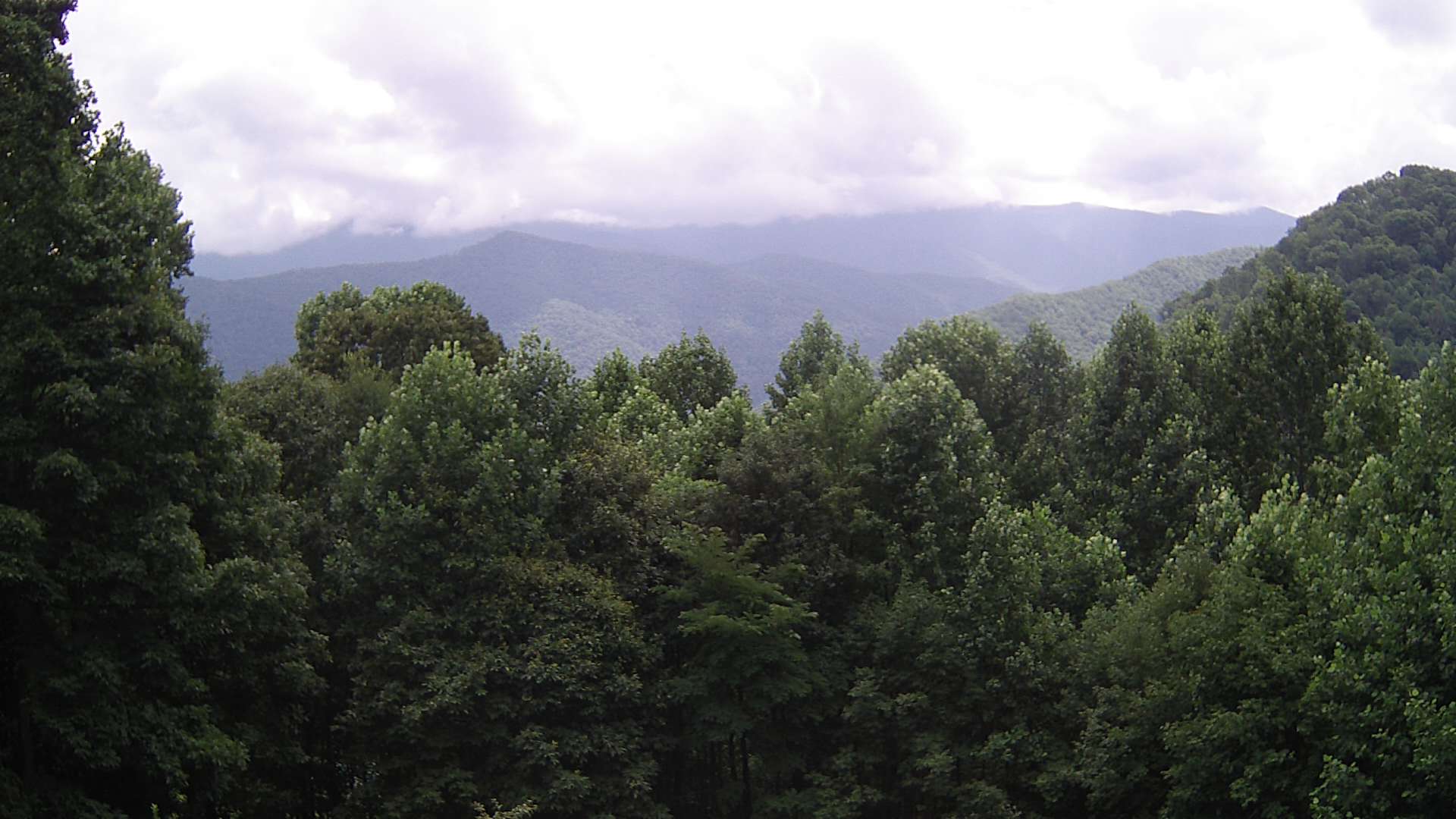 click for next image... slideshow image
