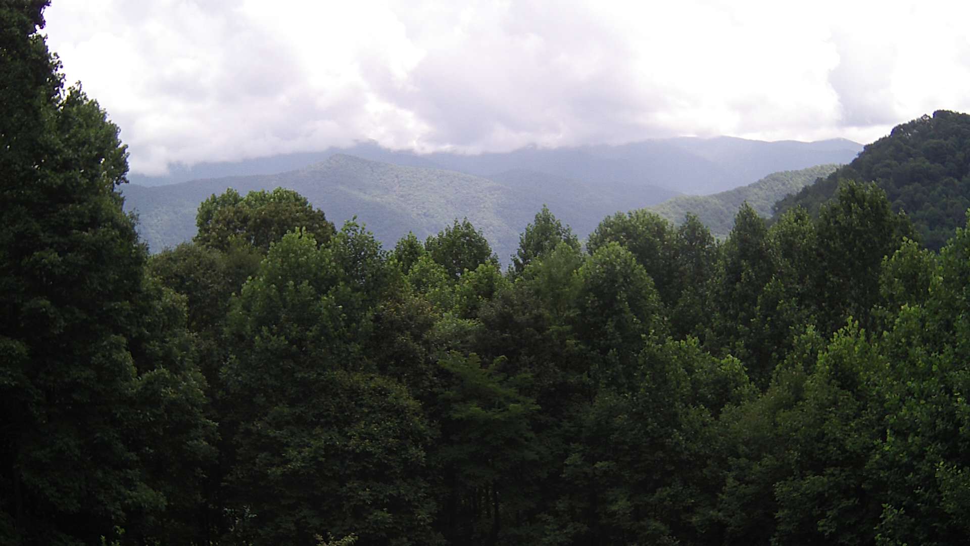 click for next image... slideshow image