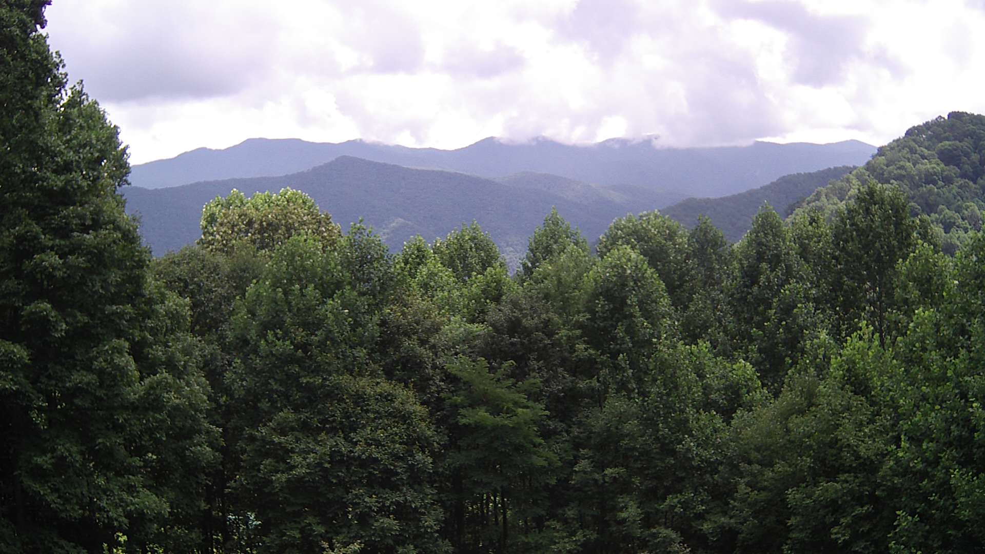 click for next image... slideshow image
