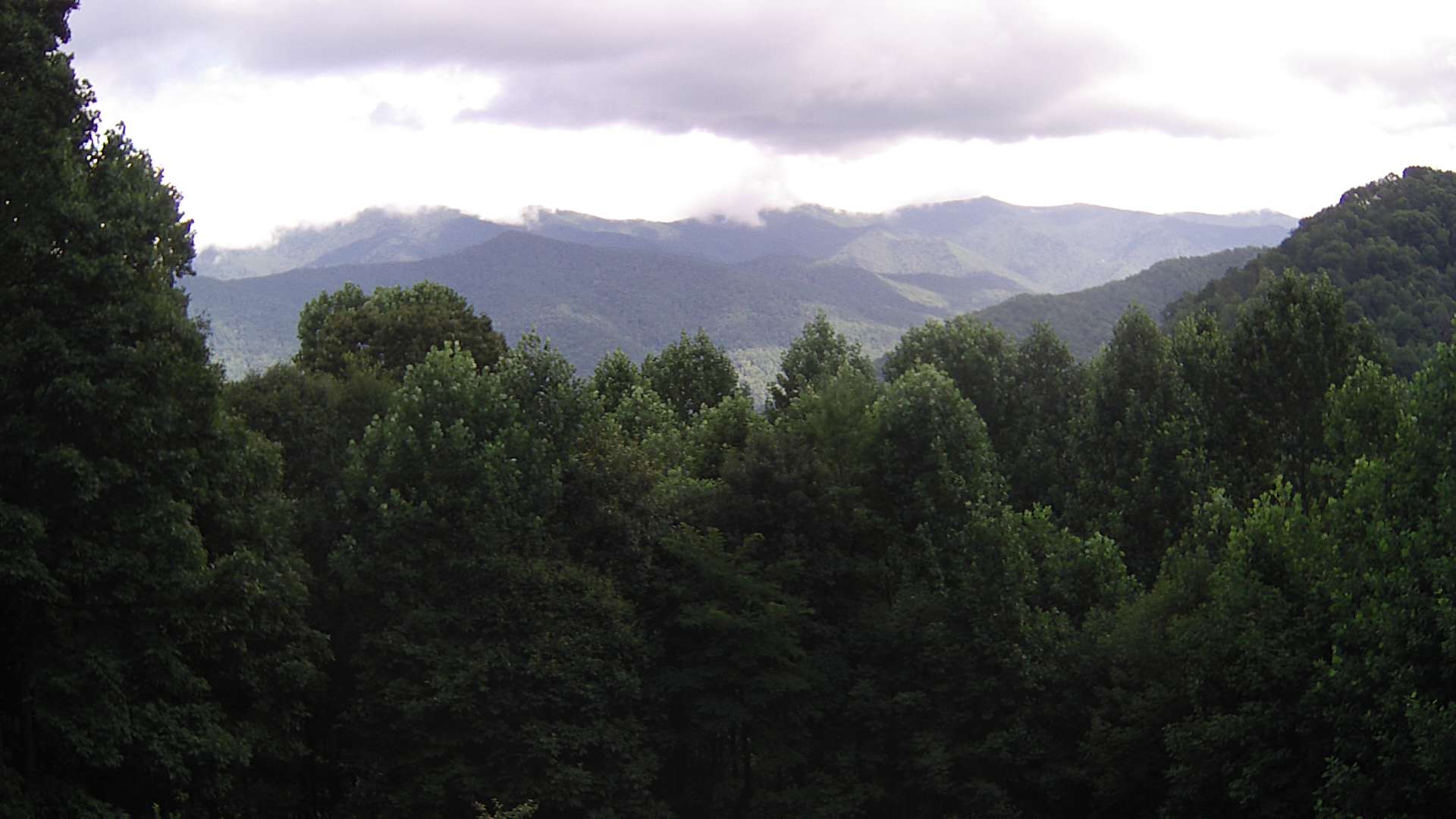 click for next image... slideshow image
