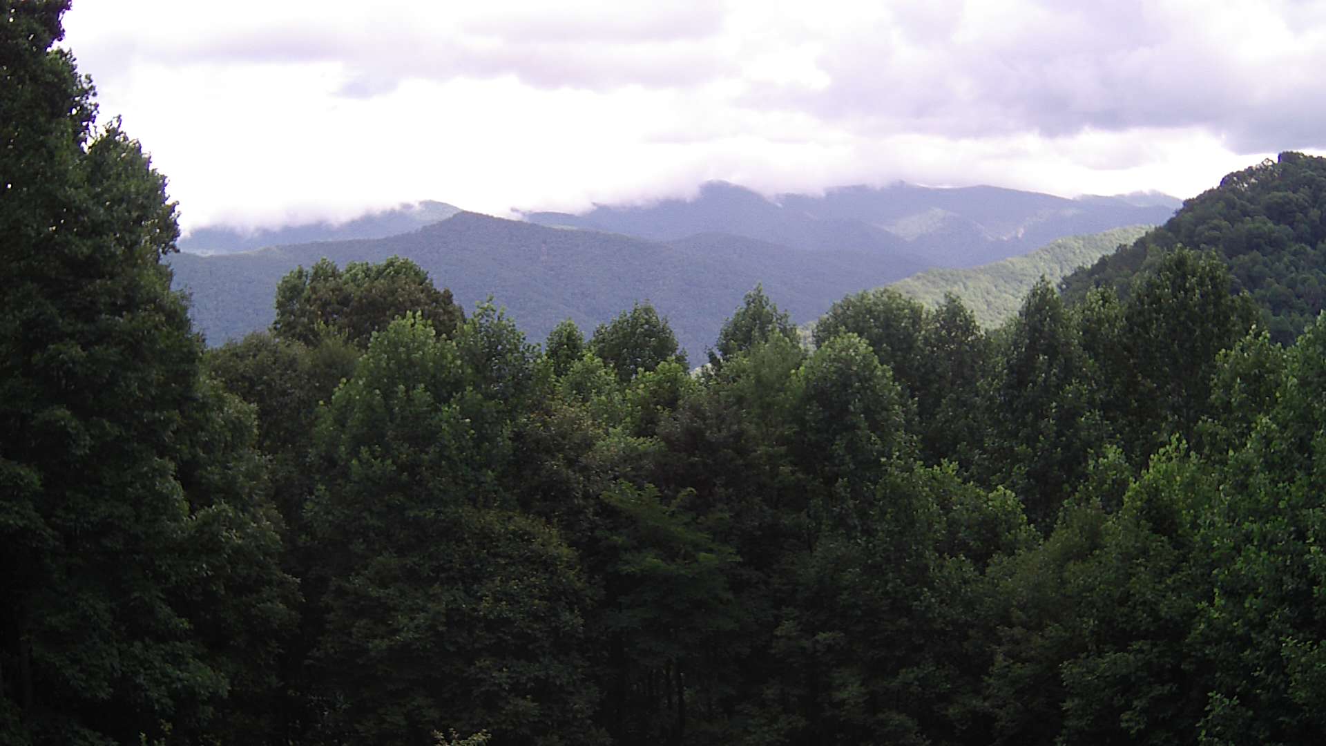 click for next image... slideshow image