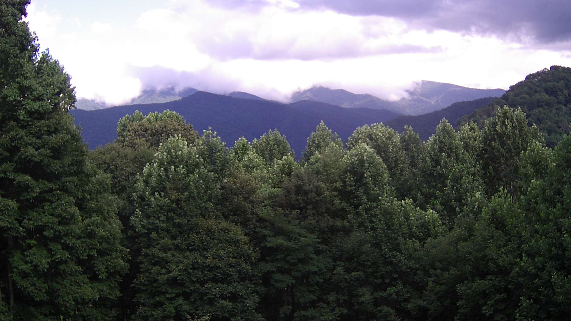 click for next image... slideshow image