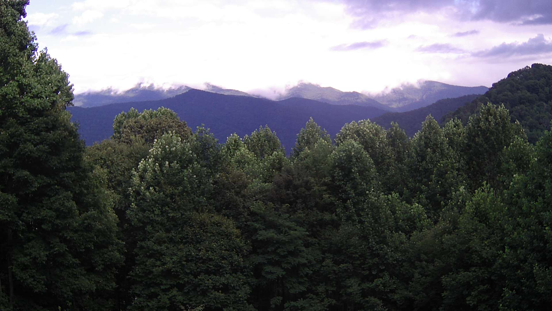 click for next image... slideshow image