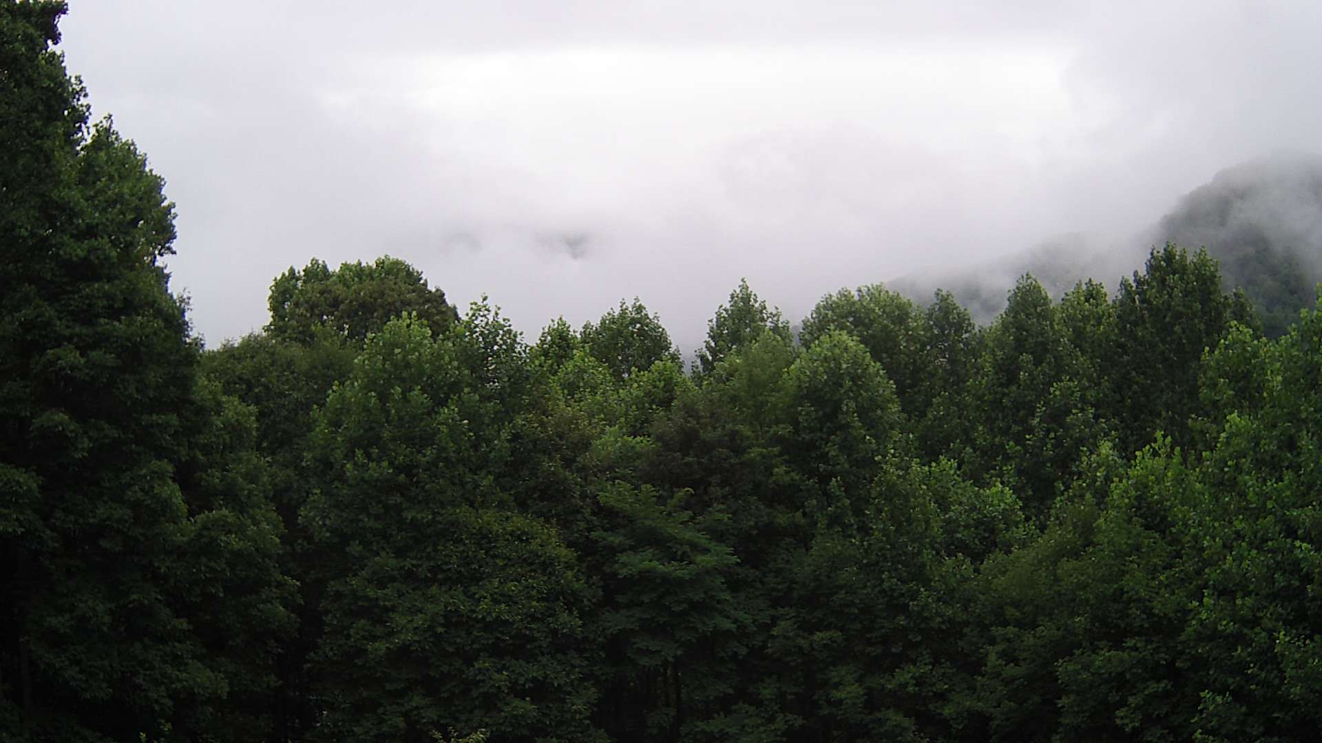 click for next image... slideshow image
