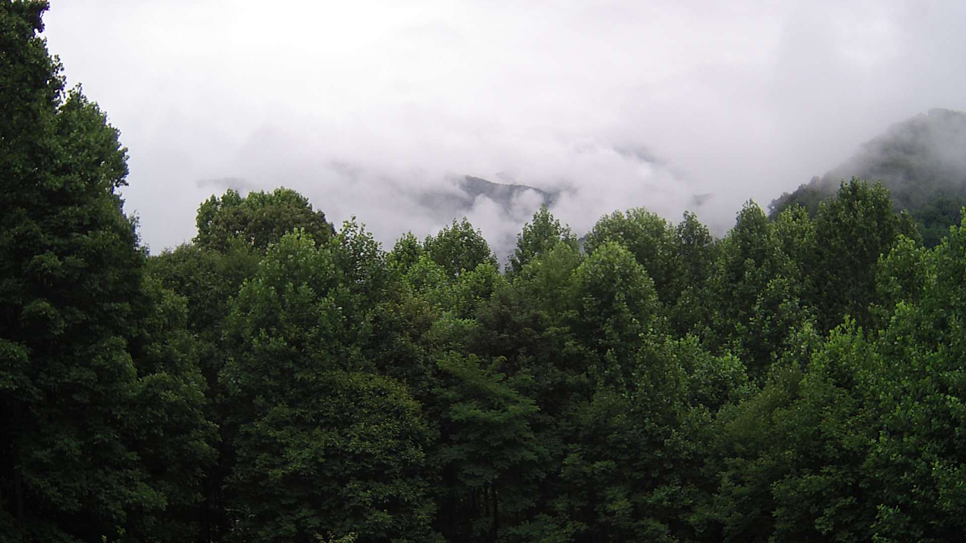 click for next image... slideshow image