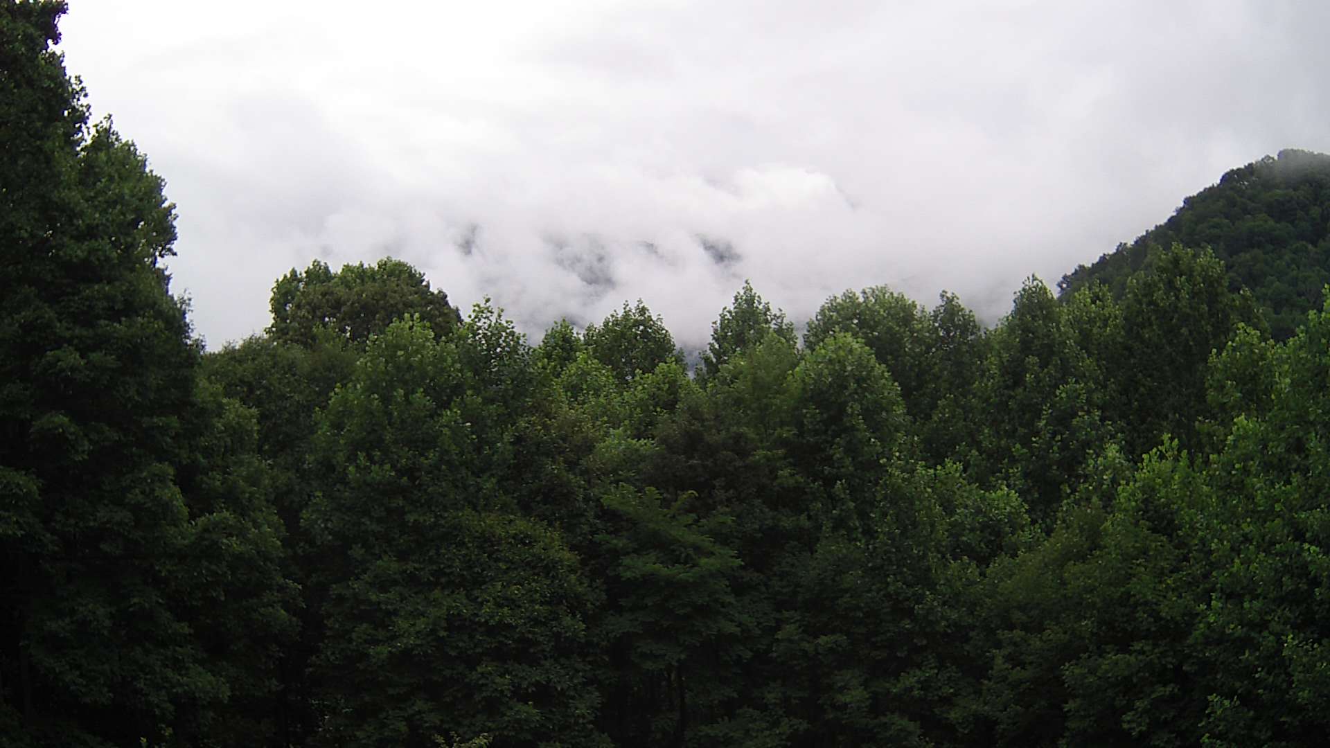 click for next image... slideshow image
