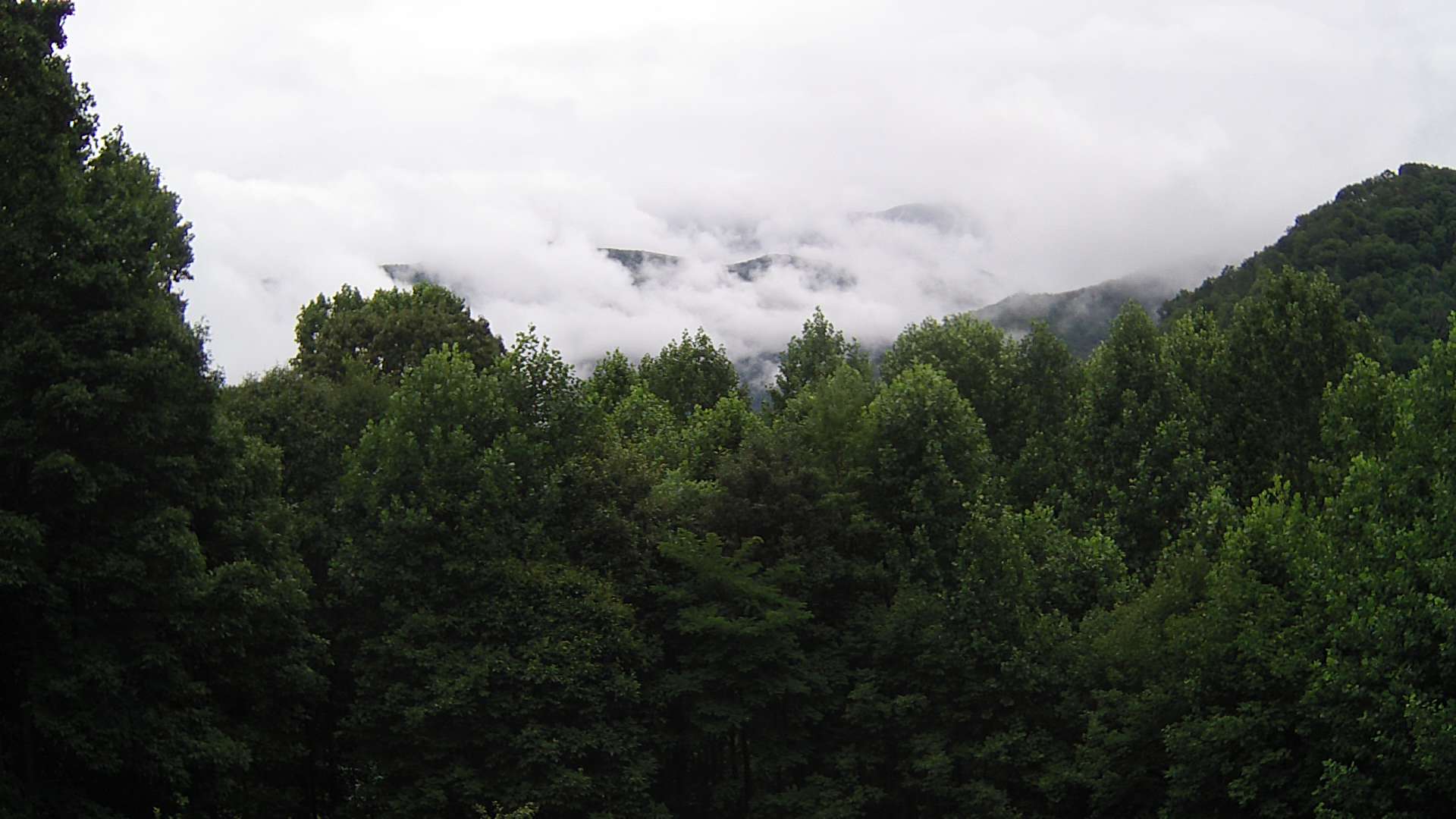 click for next image... slideshow image