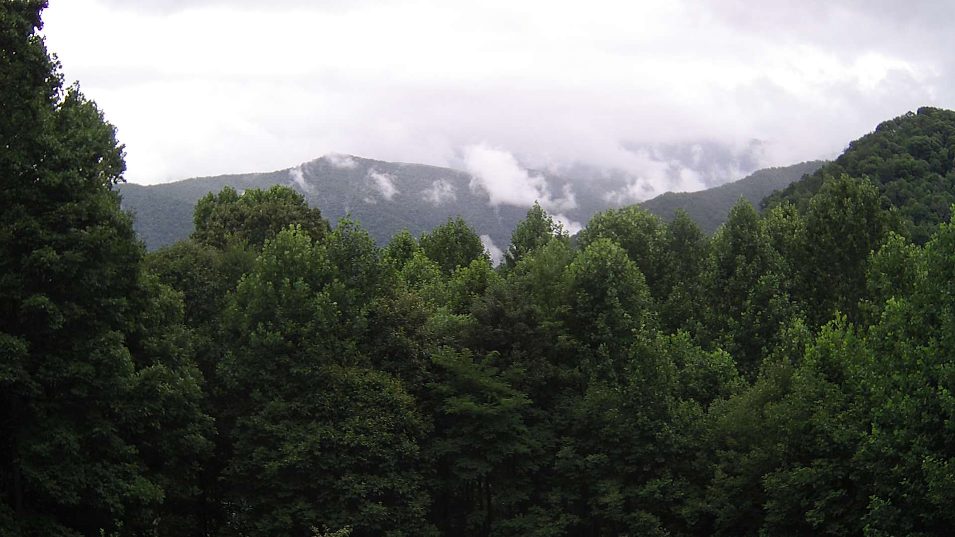 click for next image... slideshow image