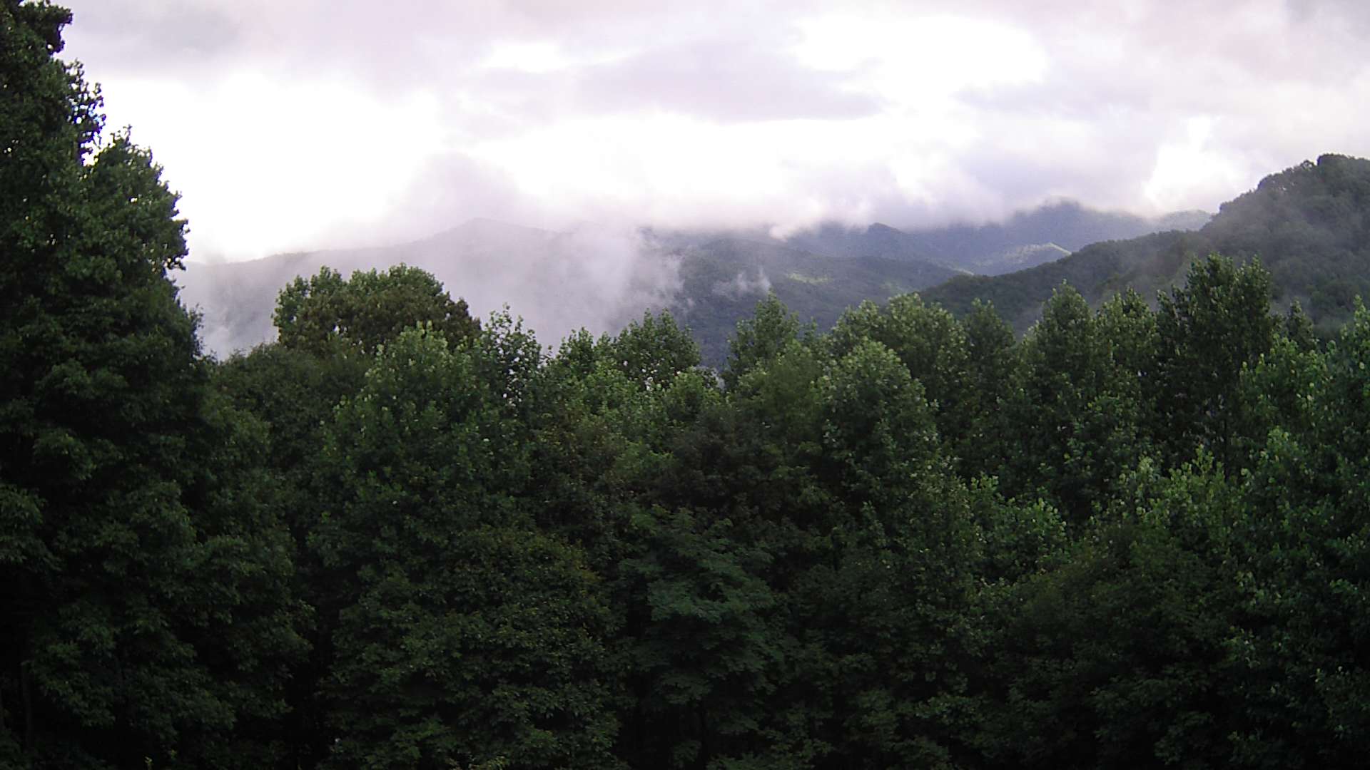 click for next image... slideshow image