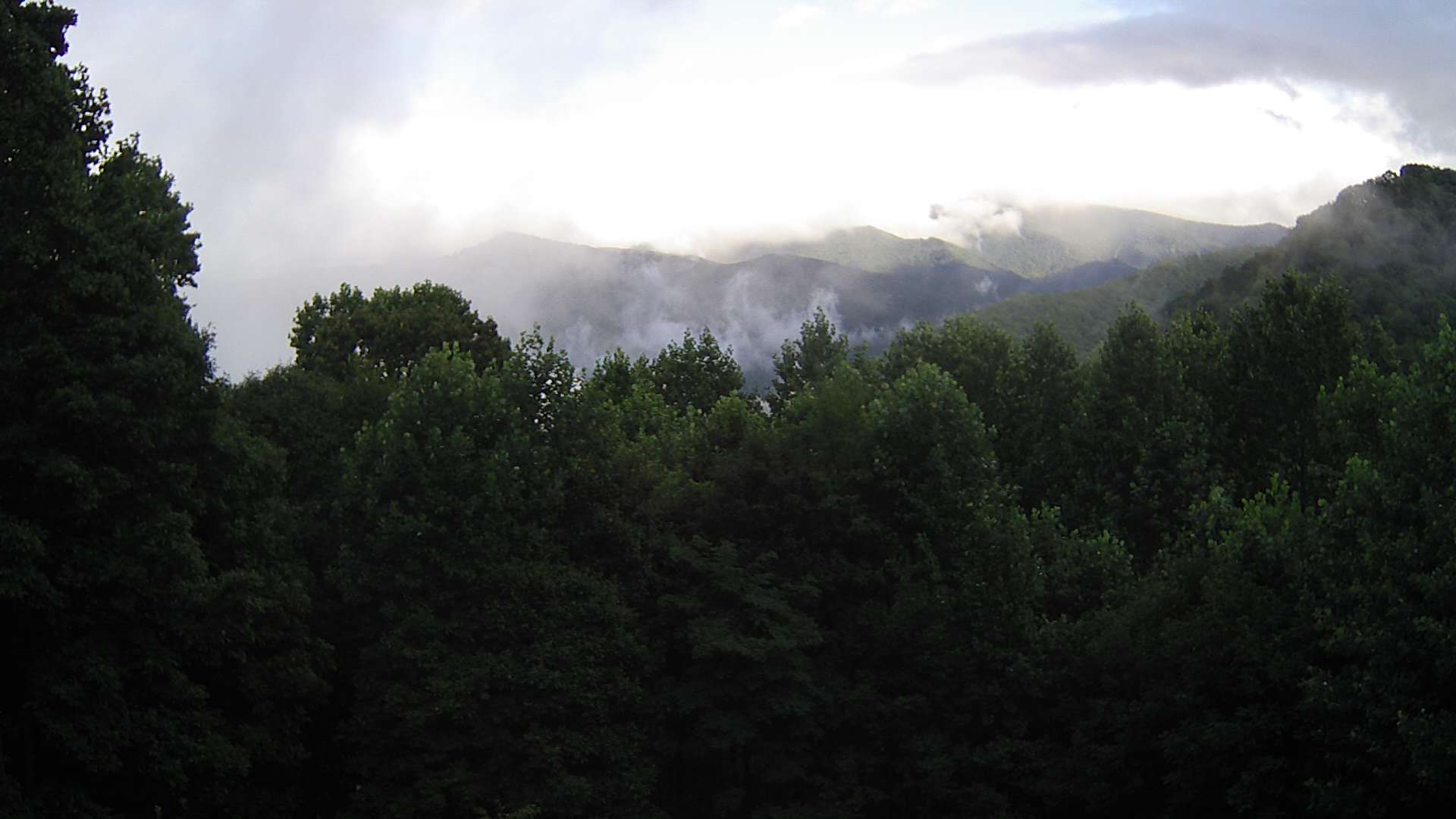 click for next image... slideshow image