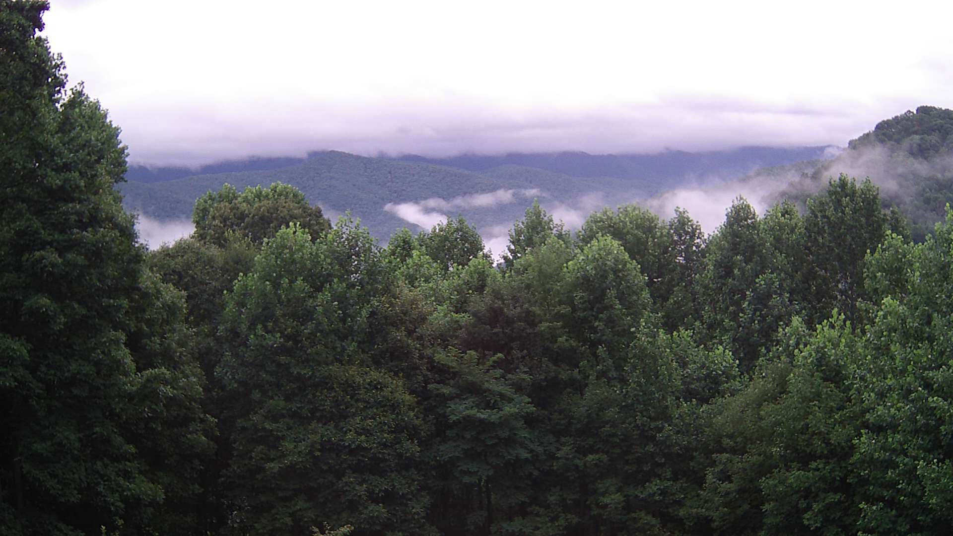 click for next image... slideshow image