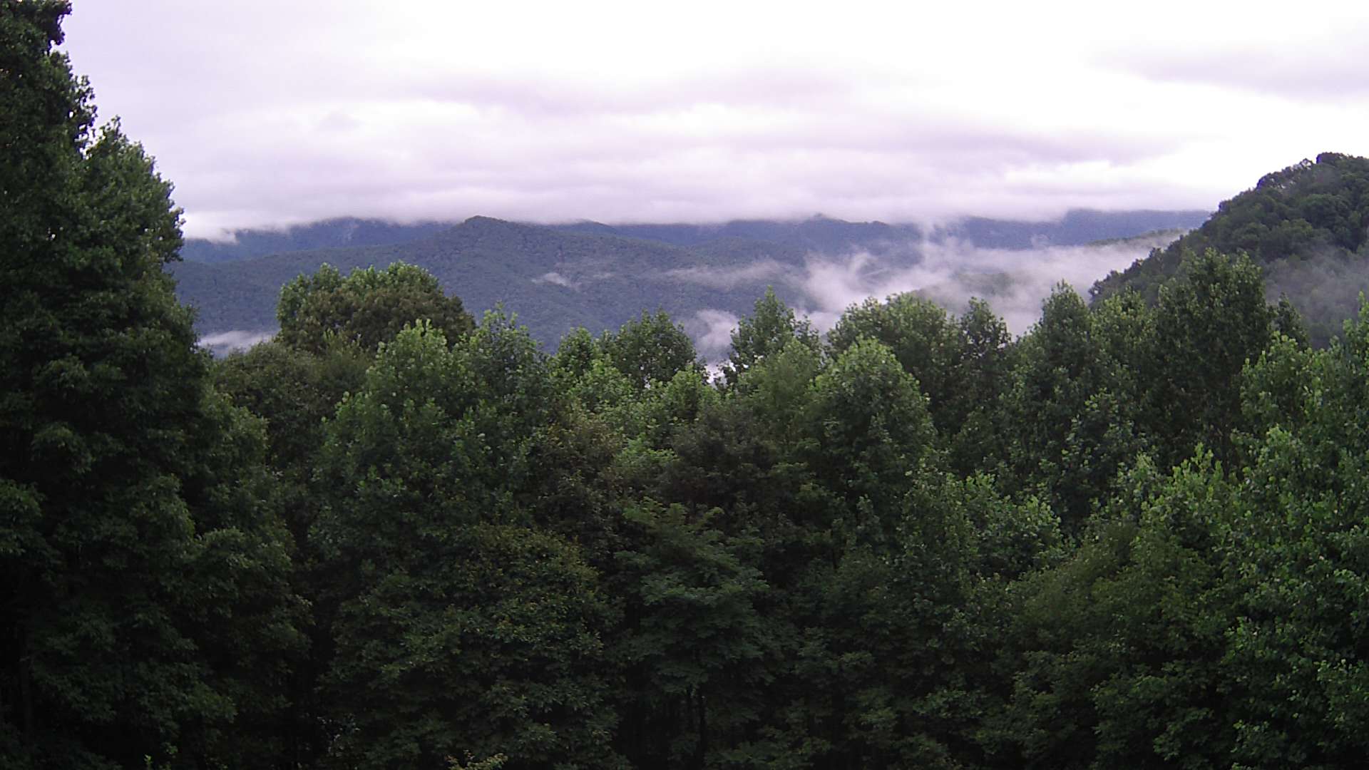 click for next image... slideshow image