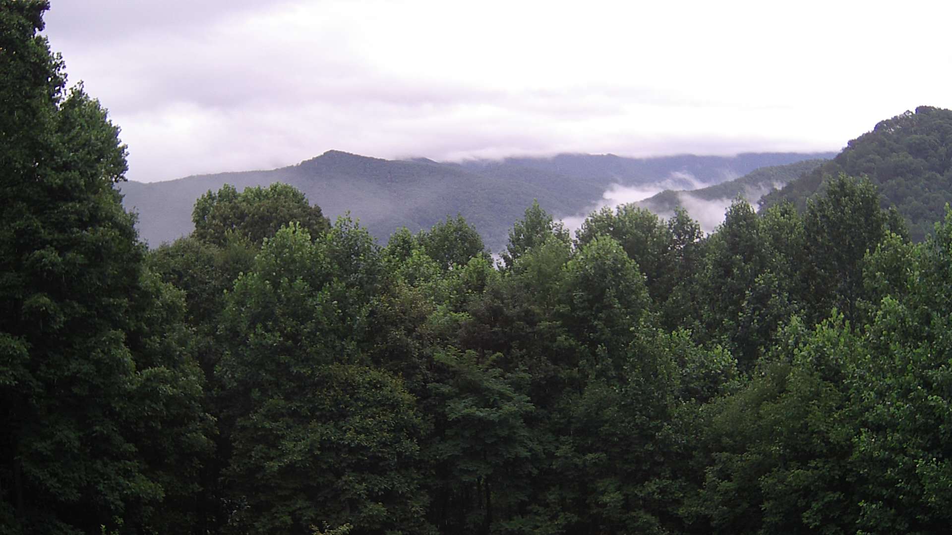 click for next image... slideshow image