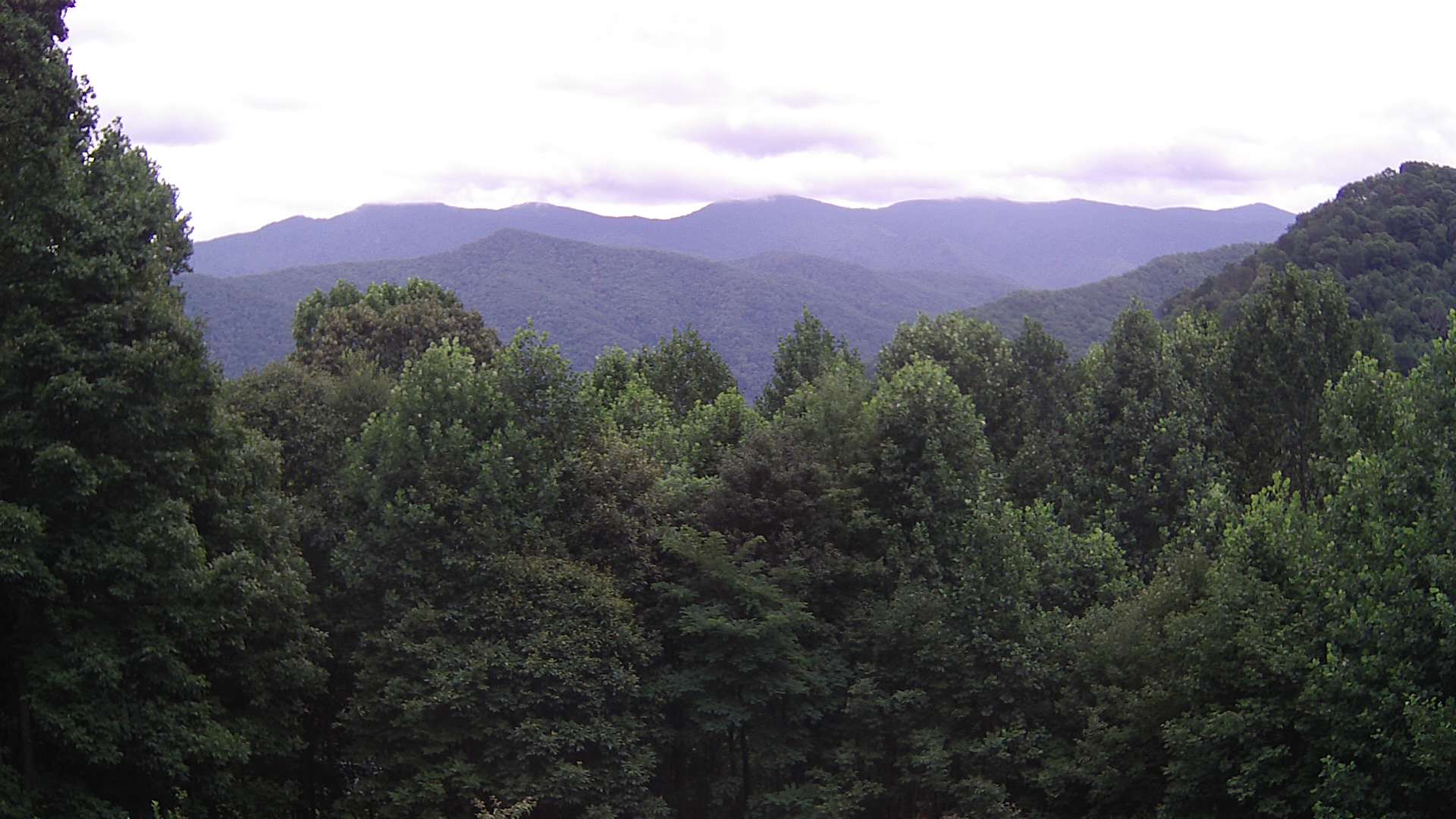 click for next image... slideshow image