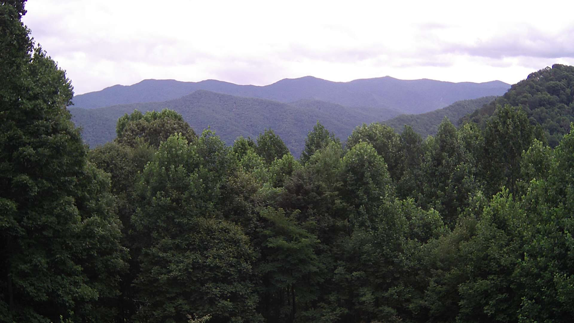 click for next image... slideshow image