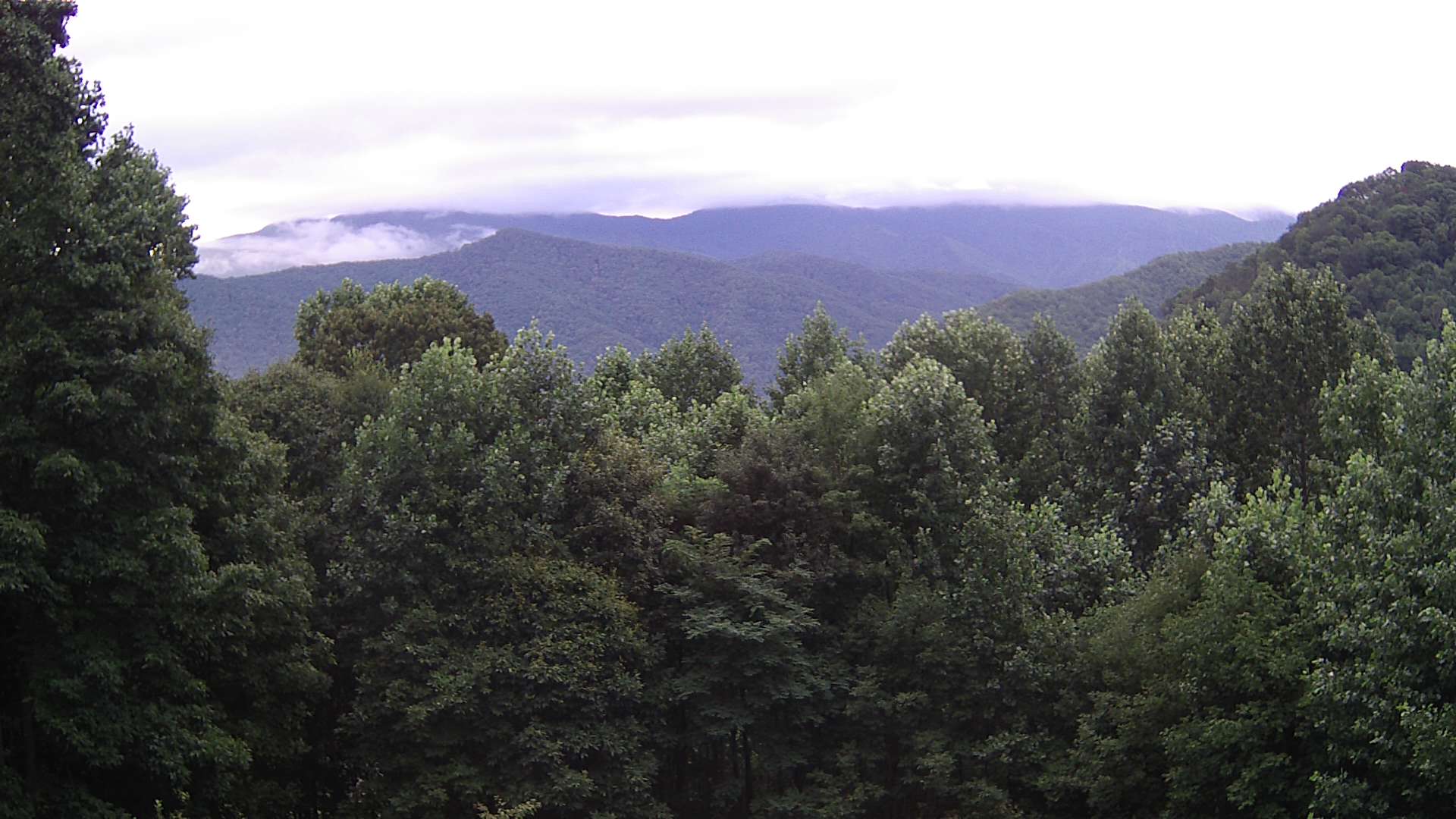 click for next image... slideshow image