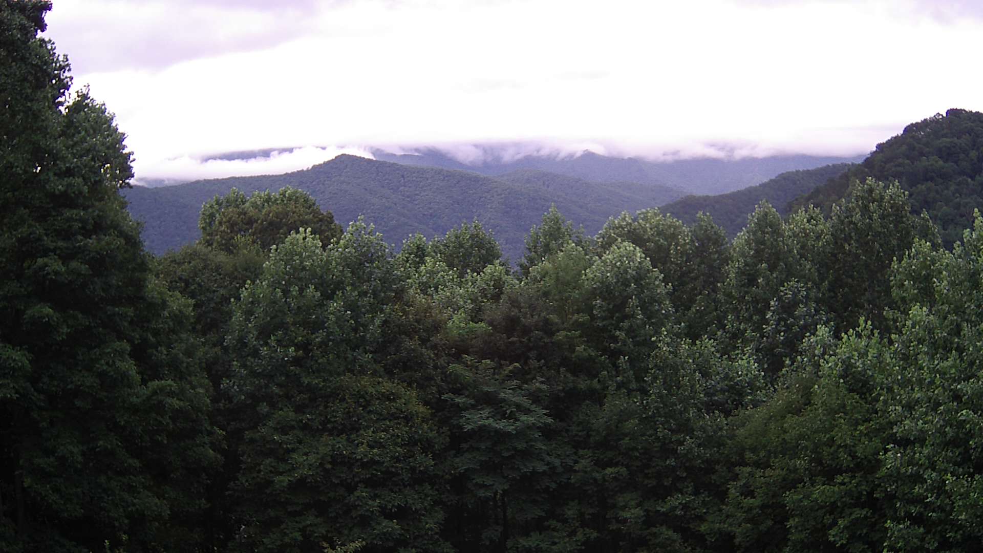 click for next image... slideshow image