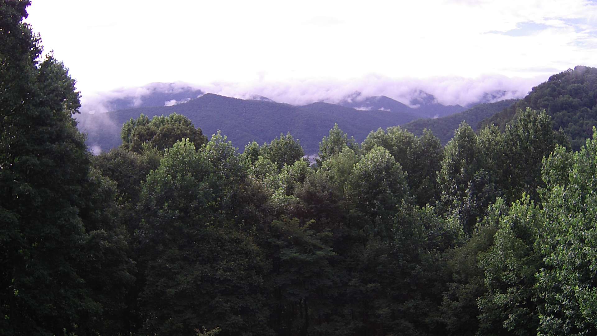 click for next image... slideshow image