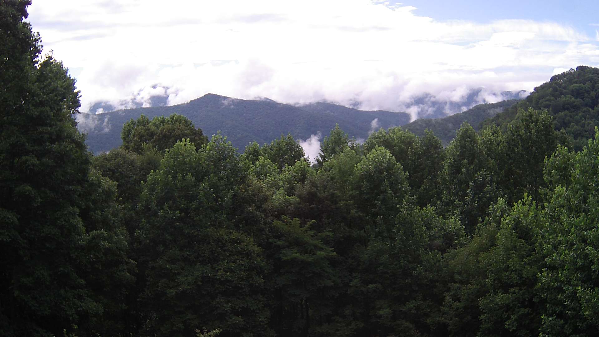 click for next image... slideshow image