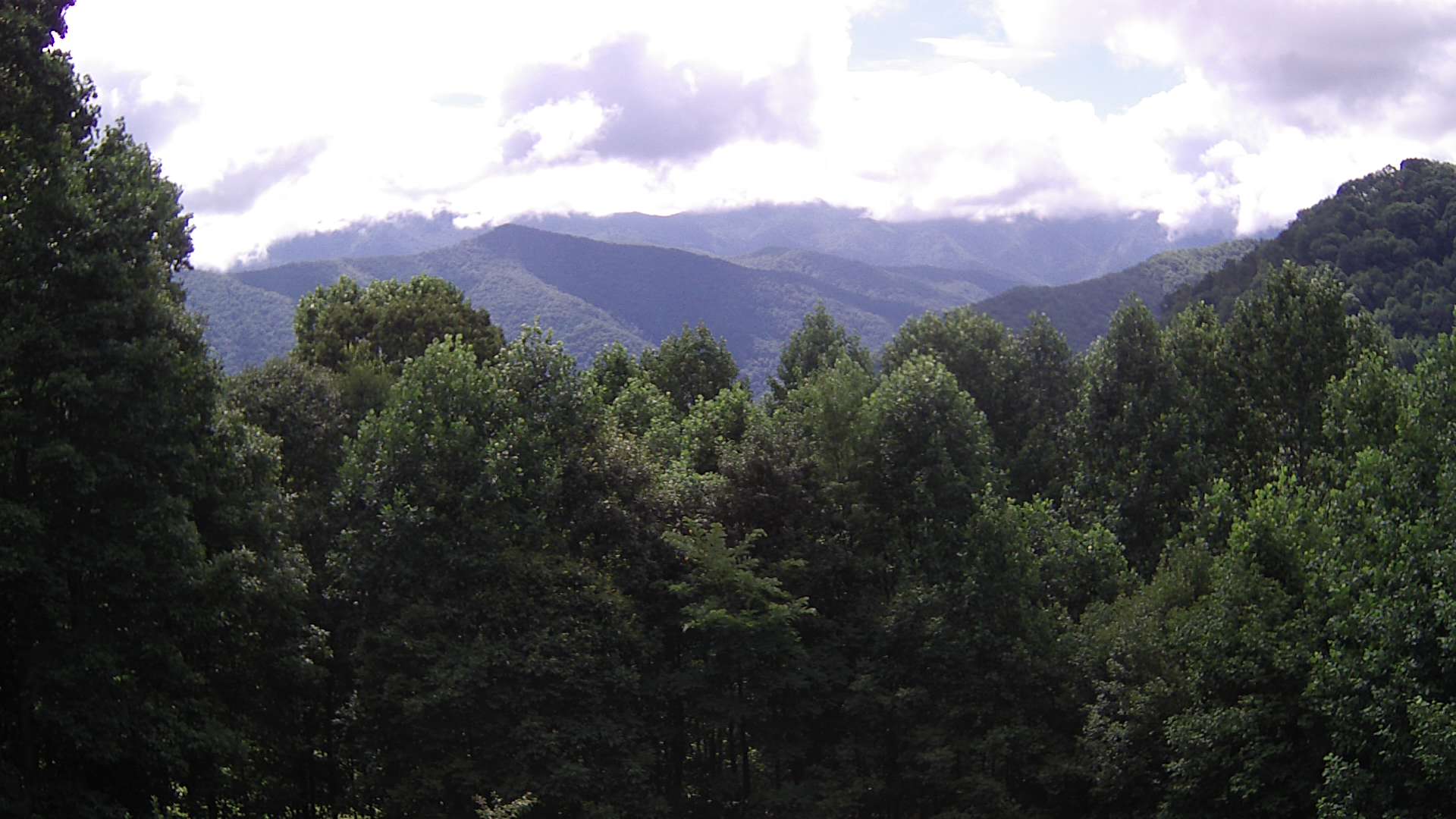 click for next image... slideshow image