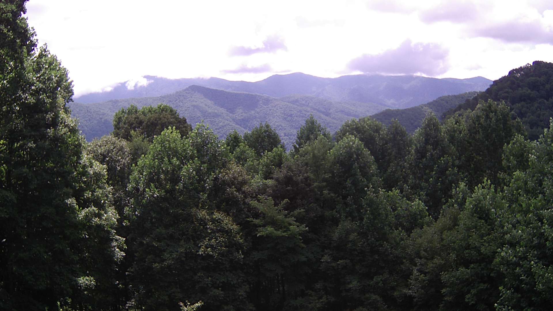 click for next image... slideshow image