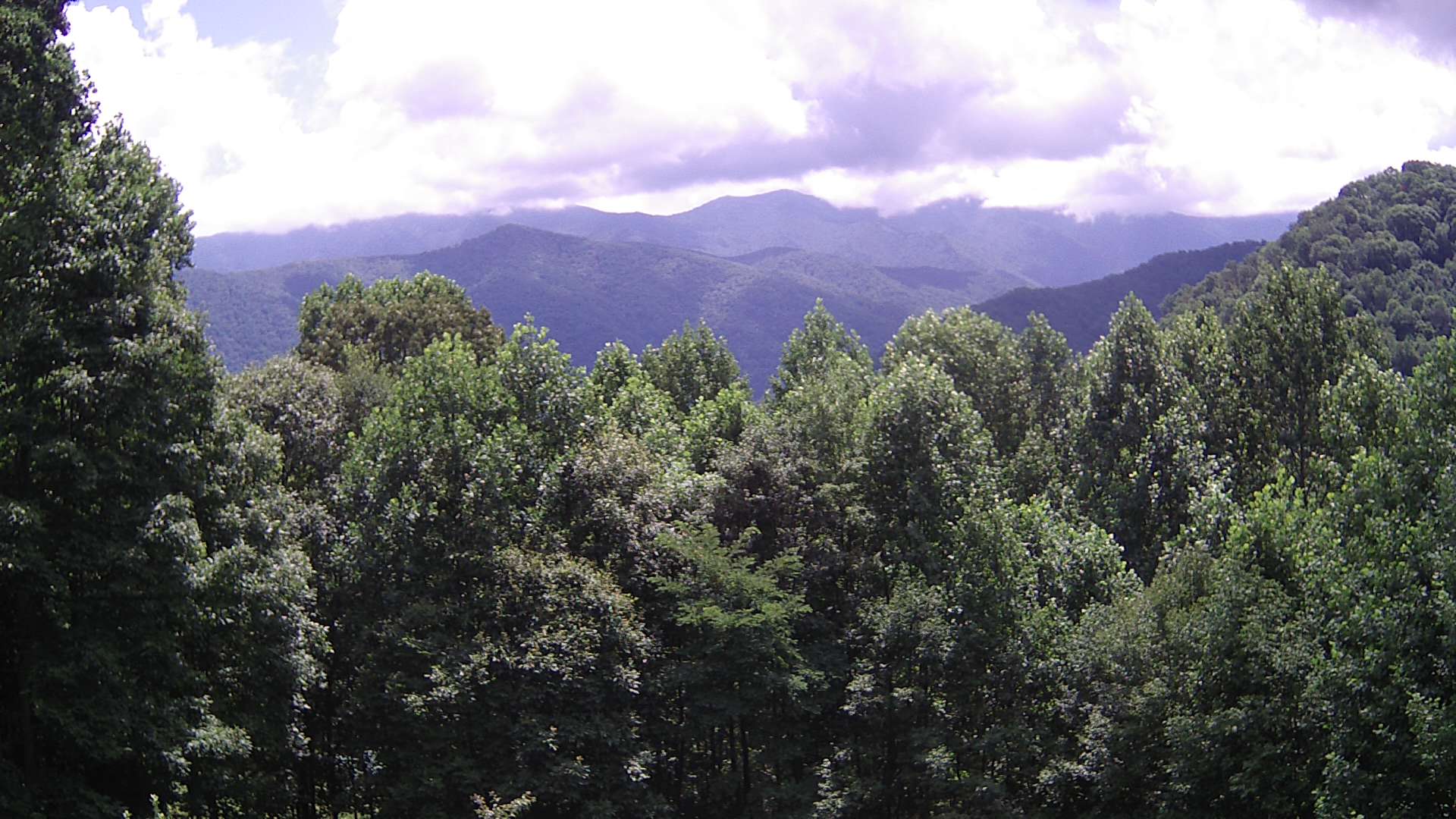 click for next image... slideshow image