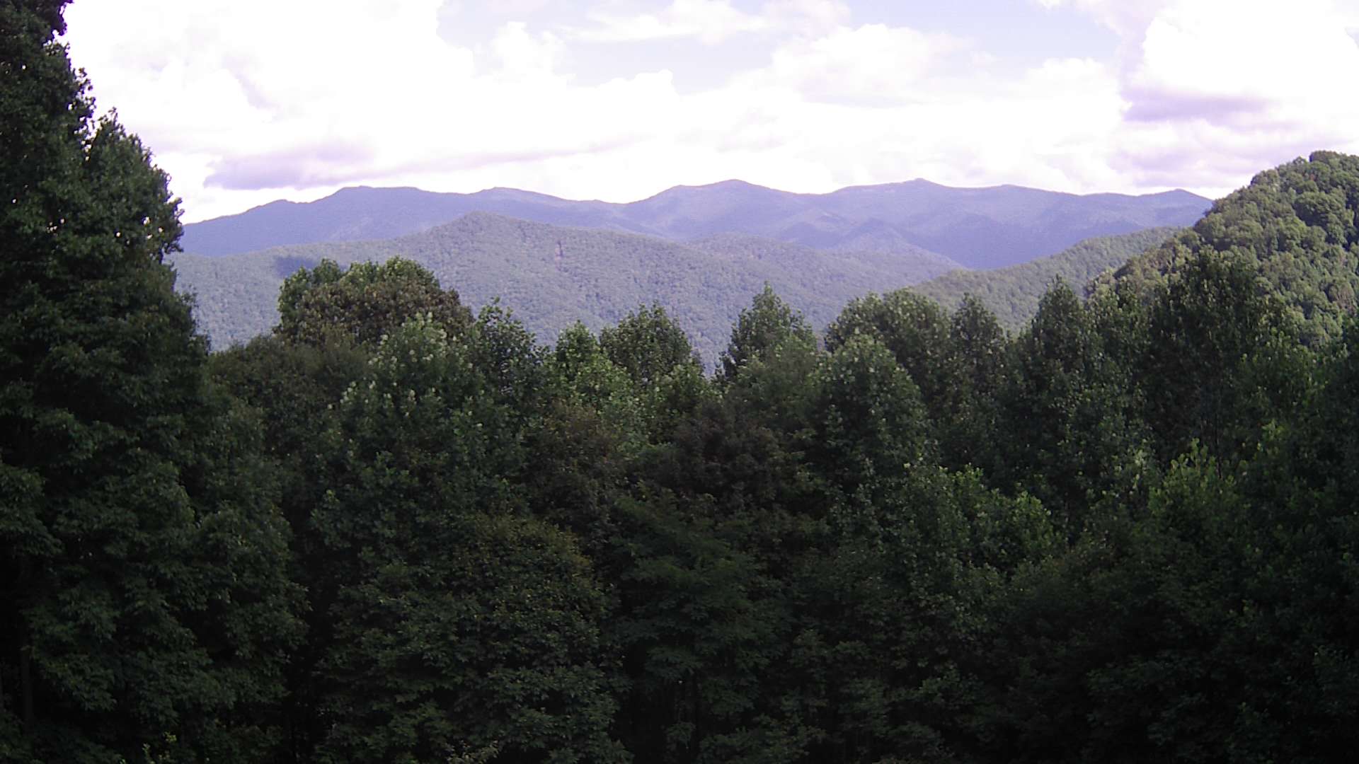 click for next image... slideshow image