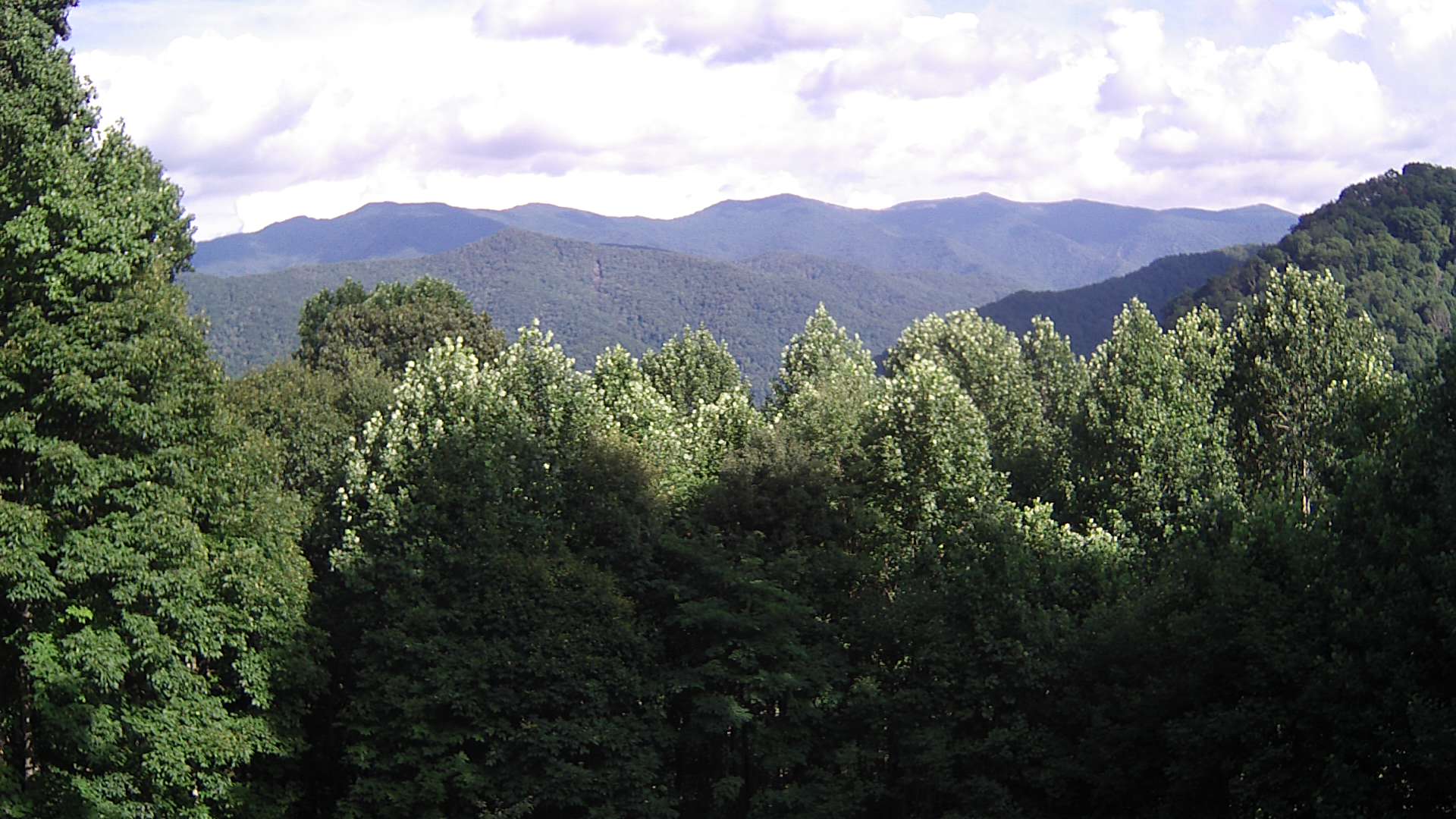 click for next image... slideshow image