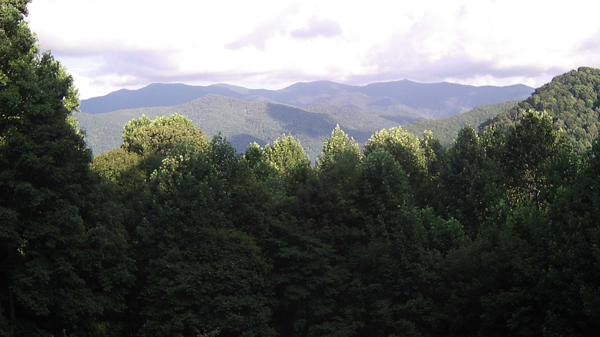 click for next image... slideshow image