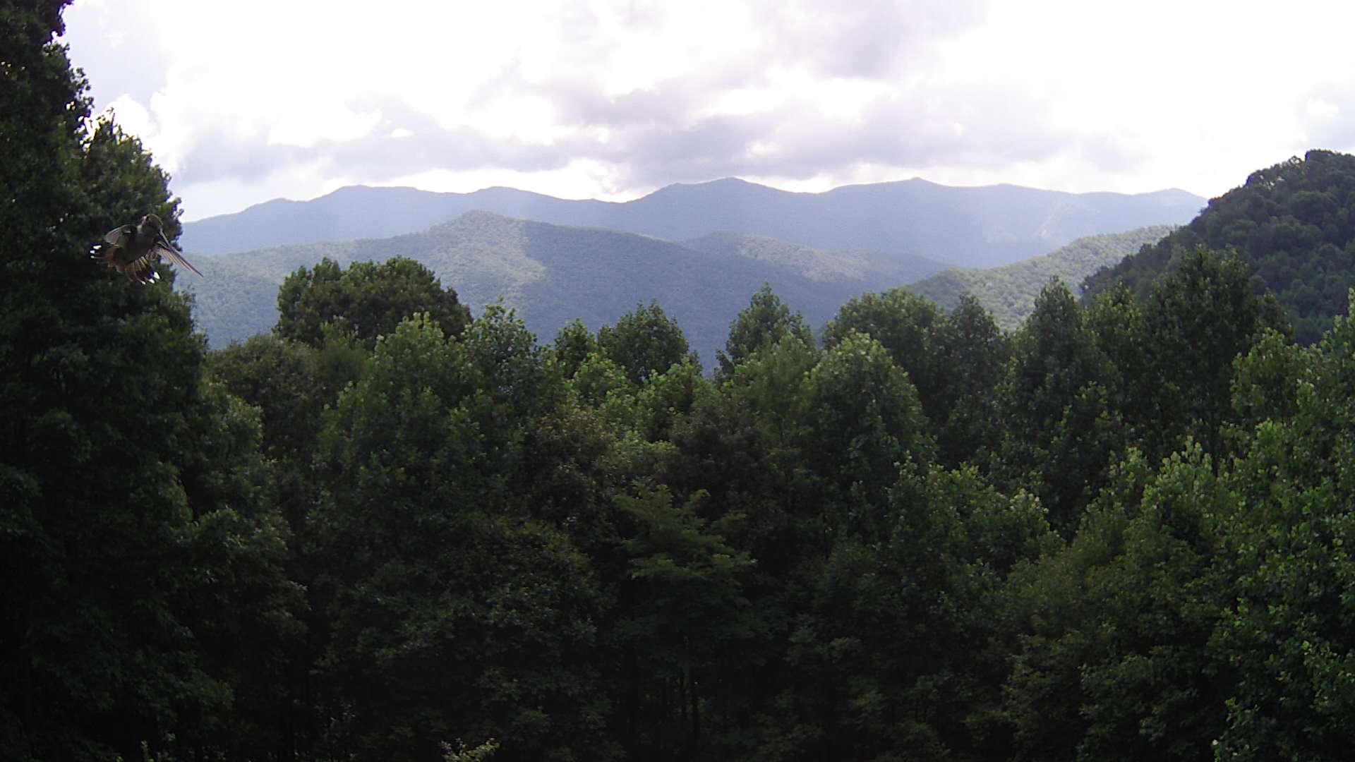 click for next image... slideshow image