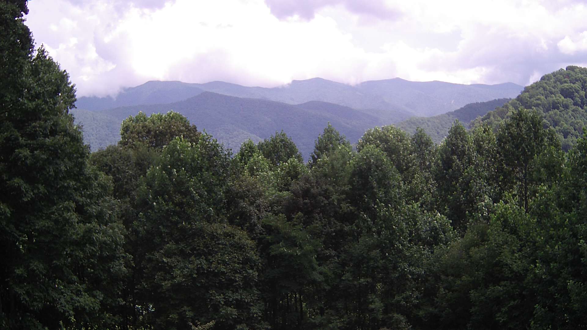 click for next image... slideshow image