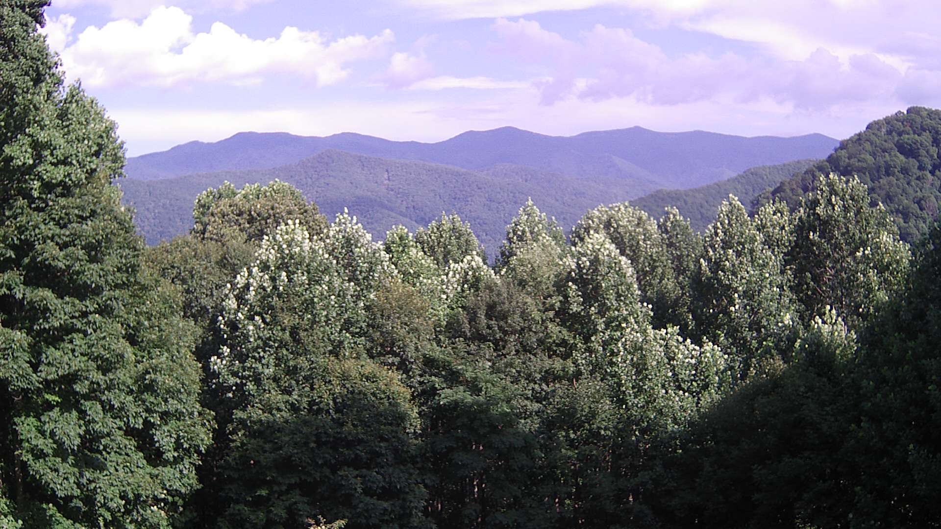 click for next image... slideshow image