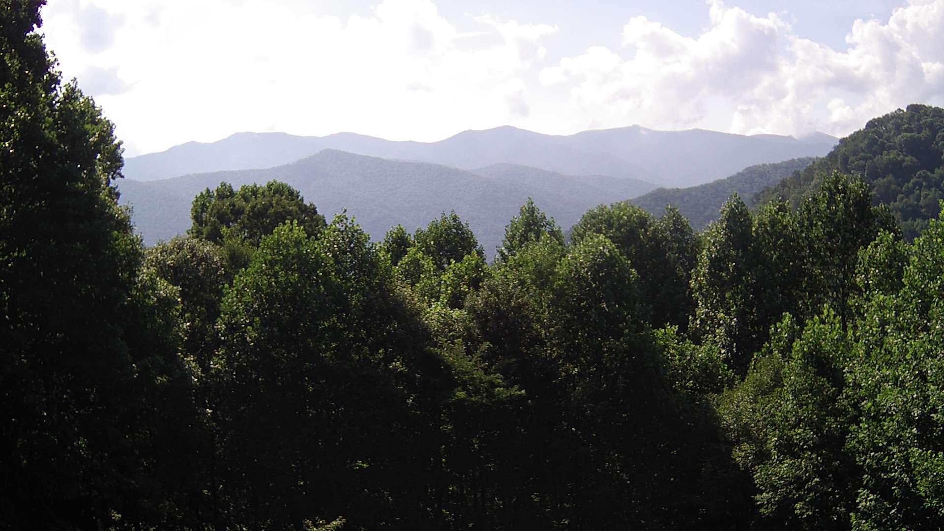 click for next image... slideshow image