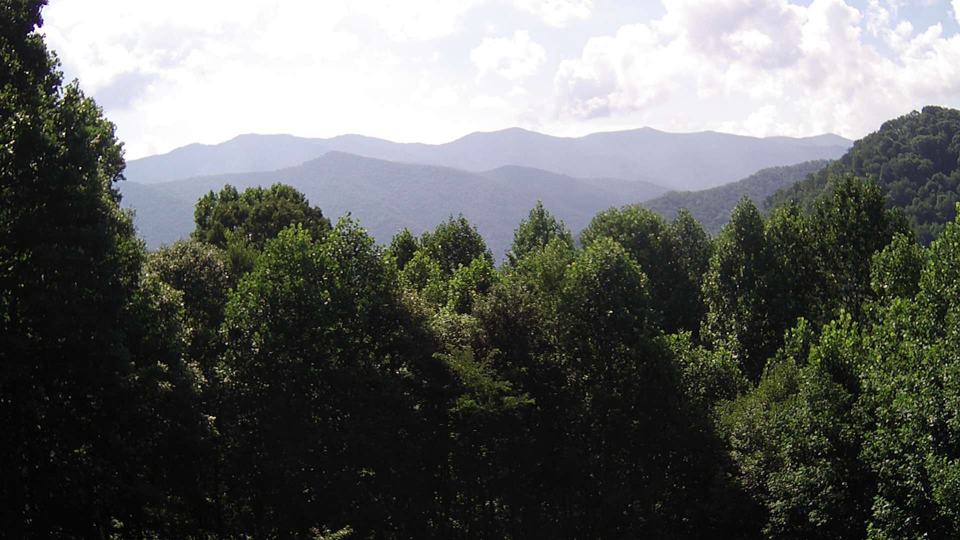 click for next image... slideshow image