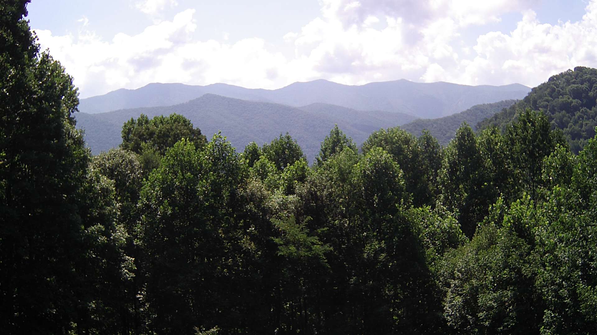 click for next image... slideshow image