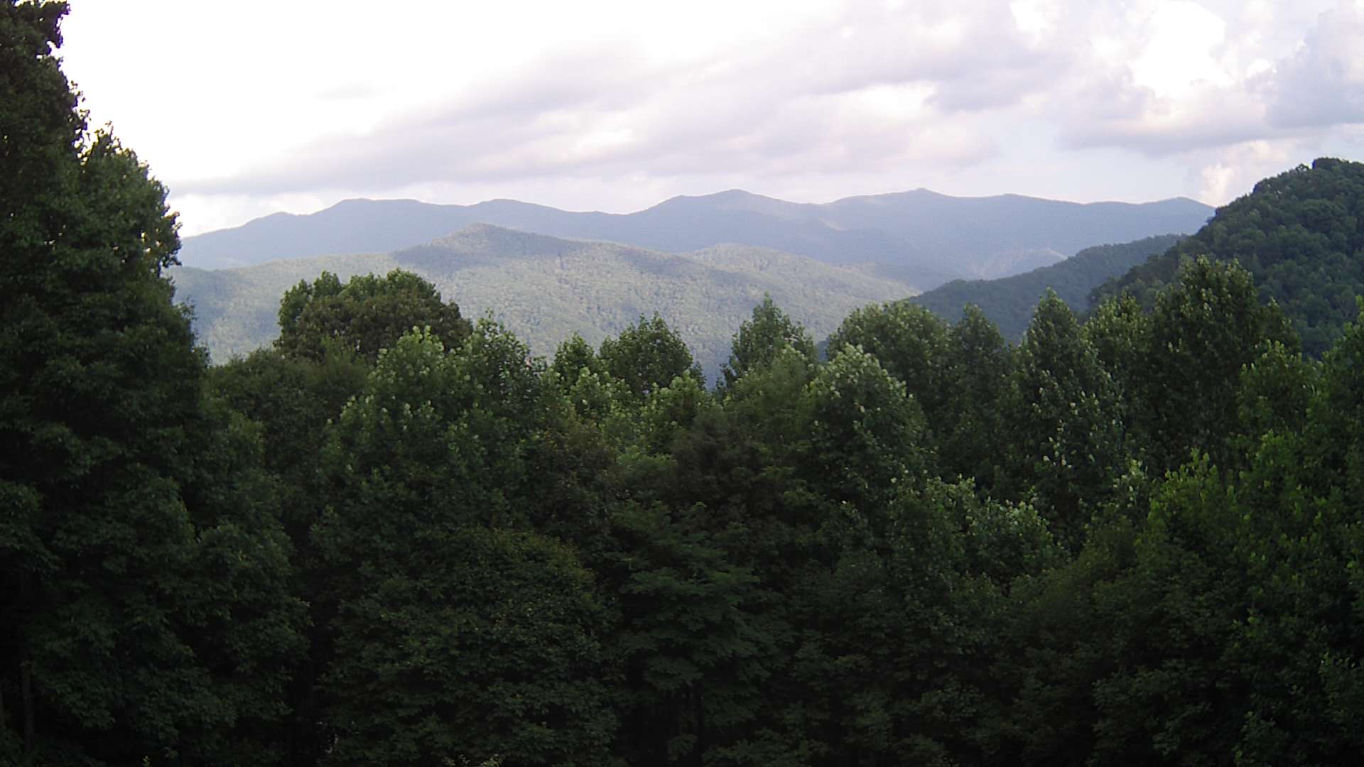 click for next image... slideshow image