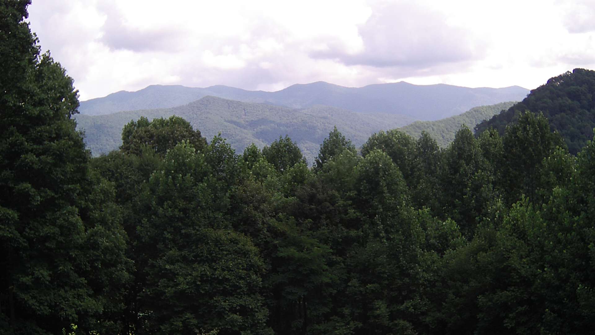 click for next image... slideshow image