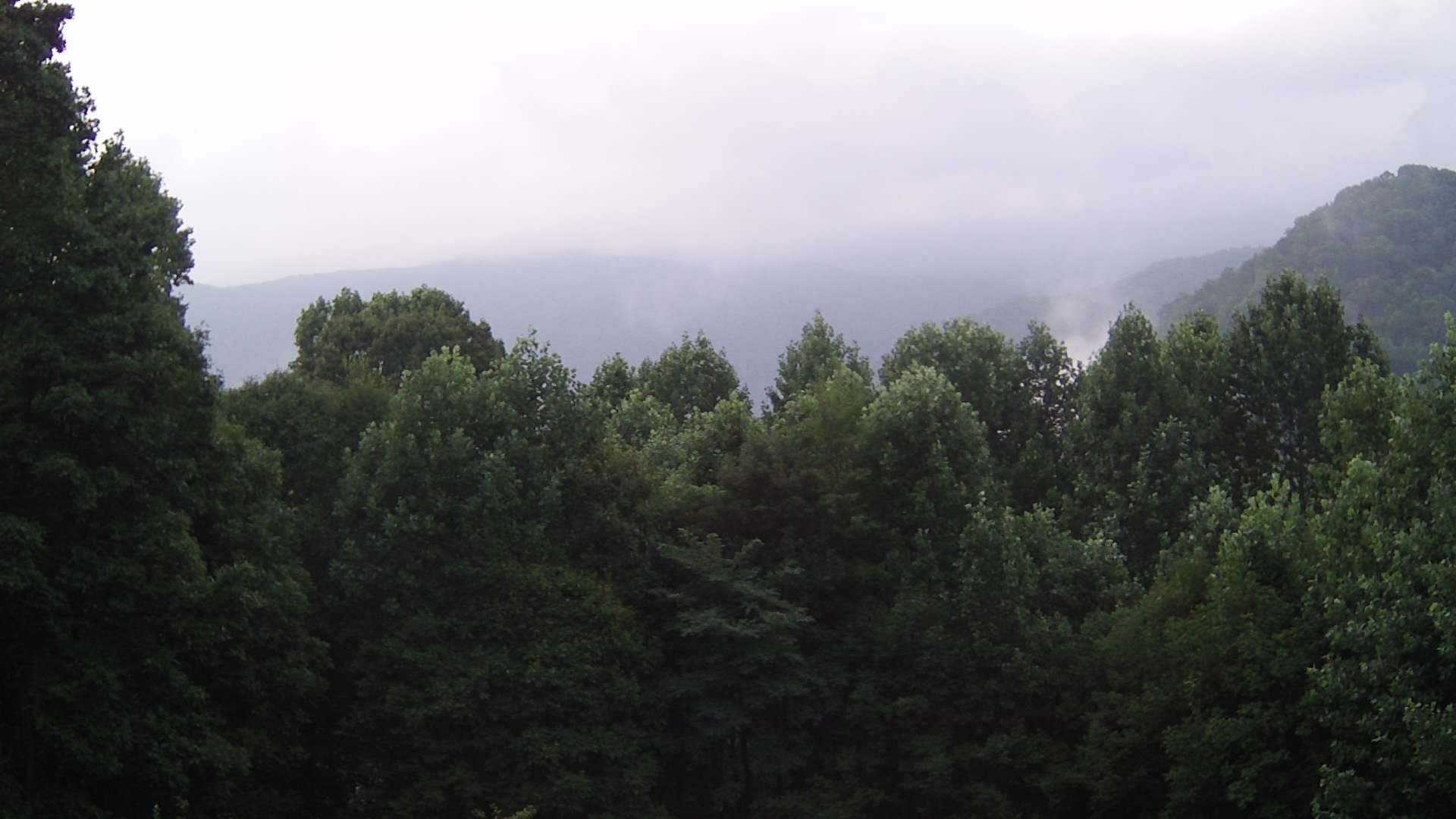 click for next image... slideshow image