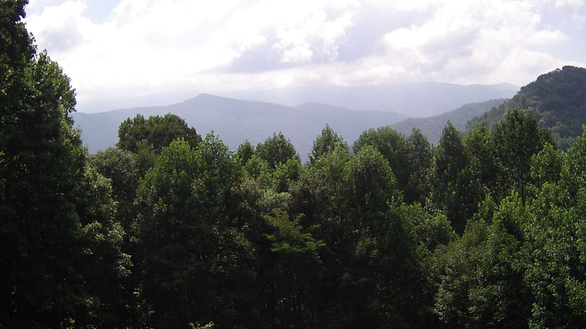 click for next image... slideshow image