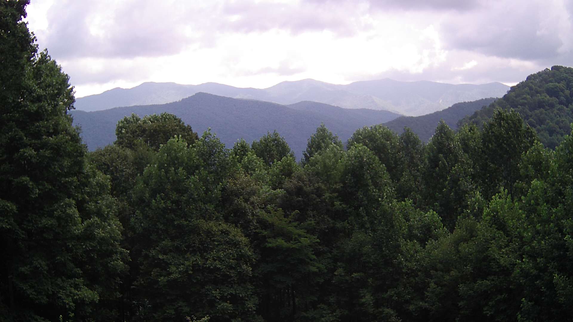 click for next image... slideshow image